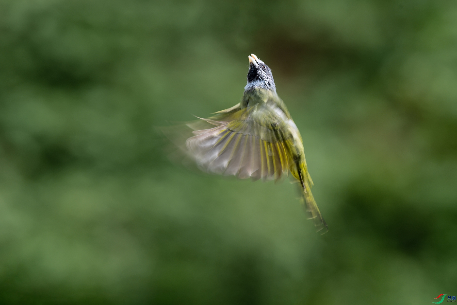 3DSC_6765_DxOa.jpg