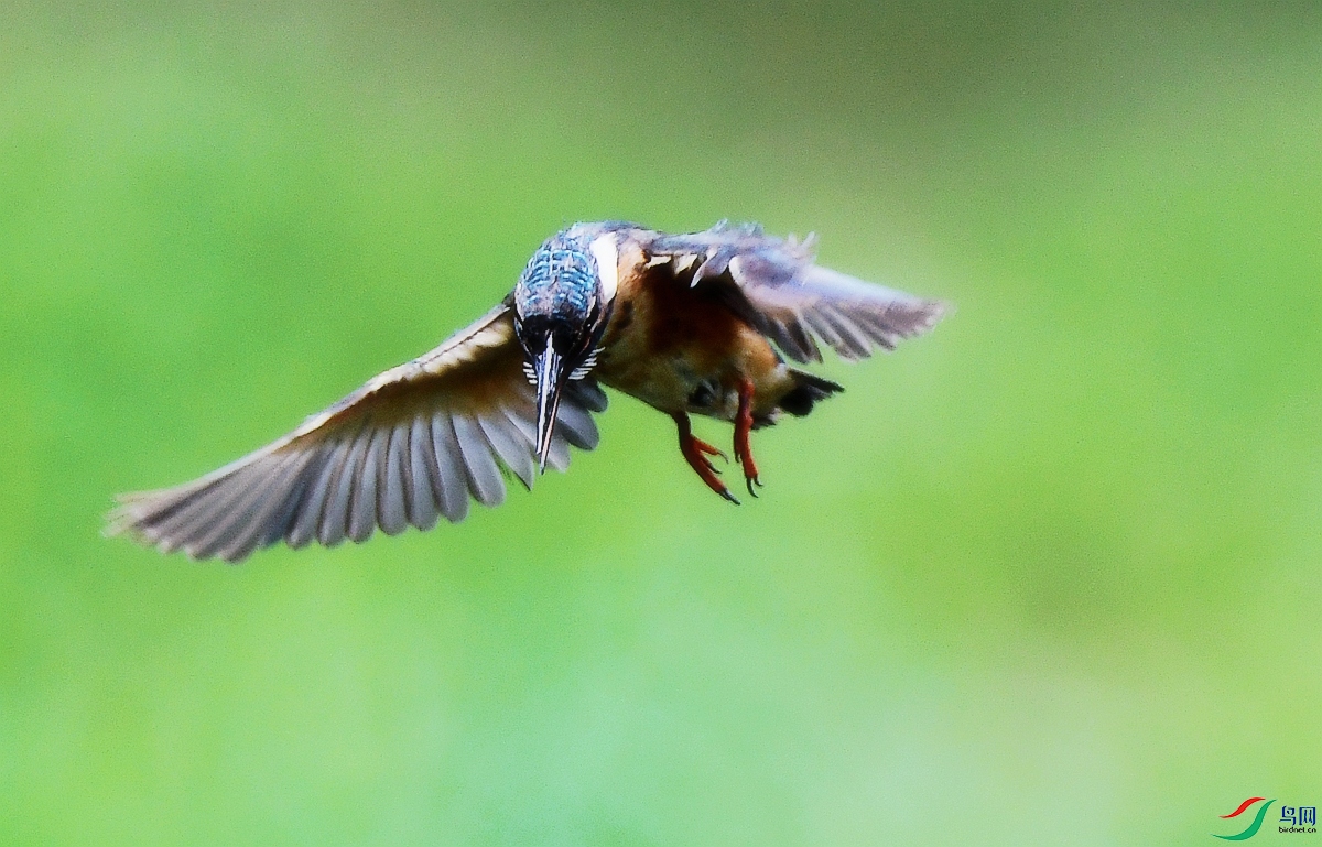 DSC_6061.JPG