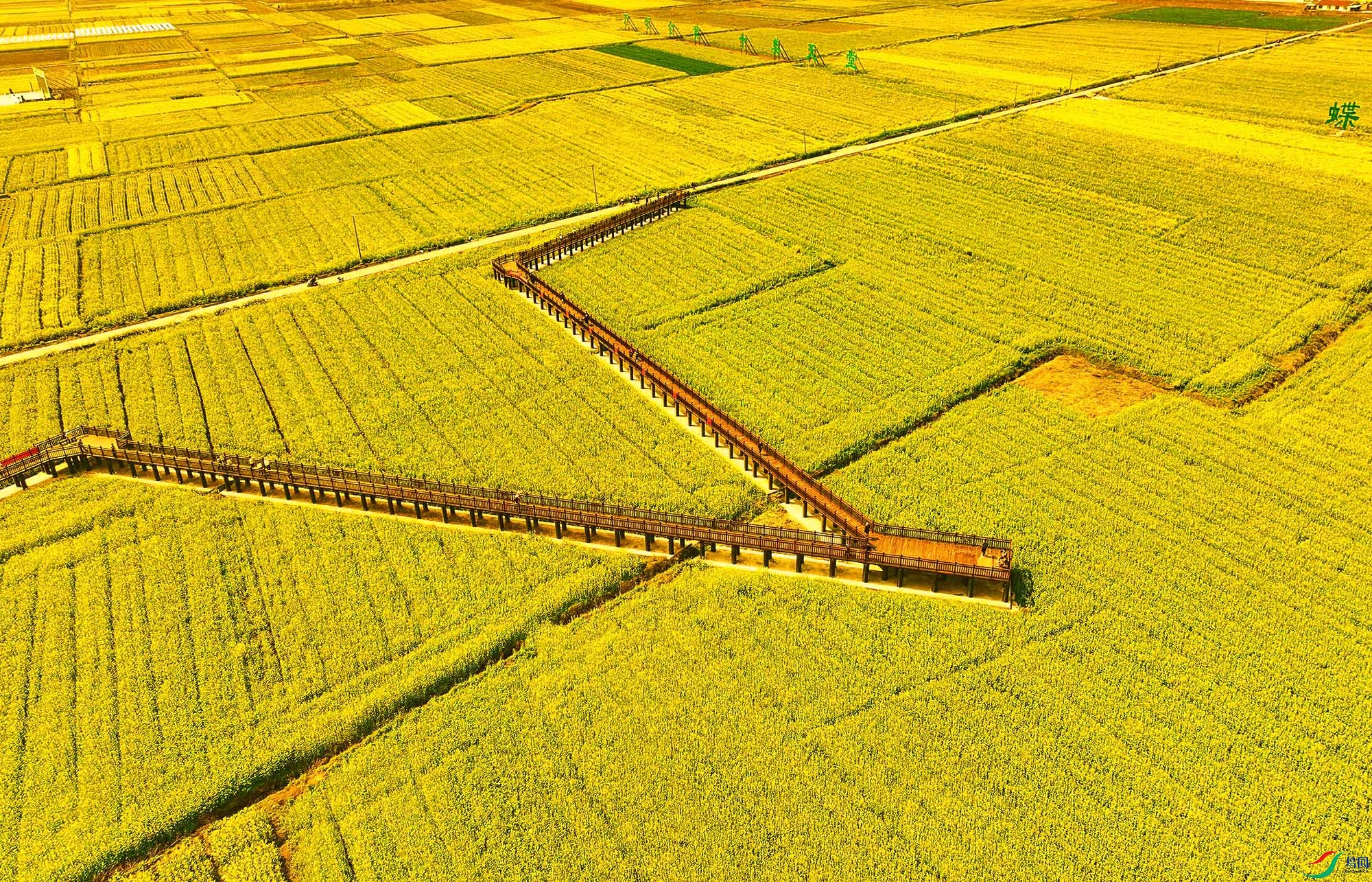 DJI_0897.jpg