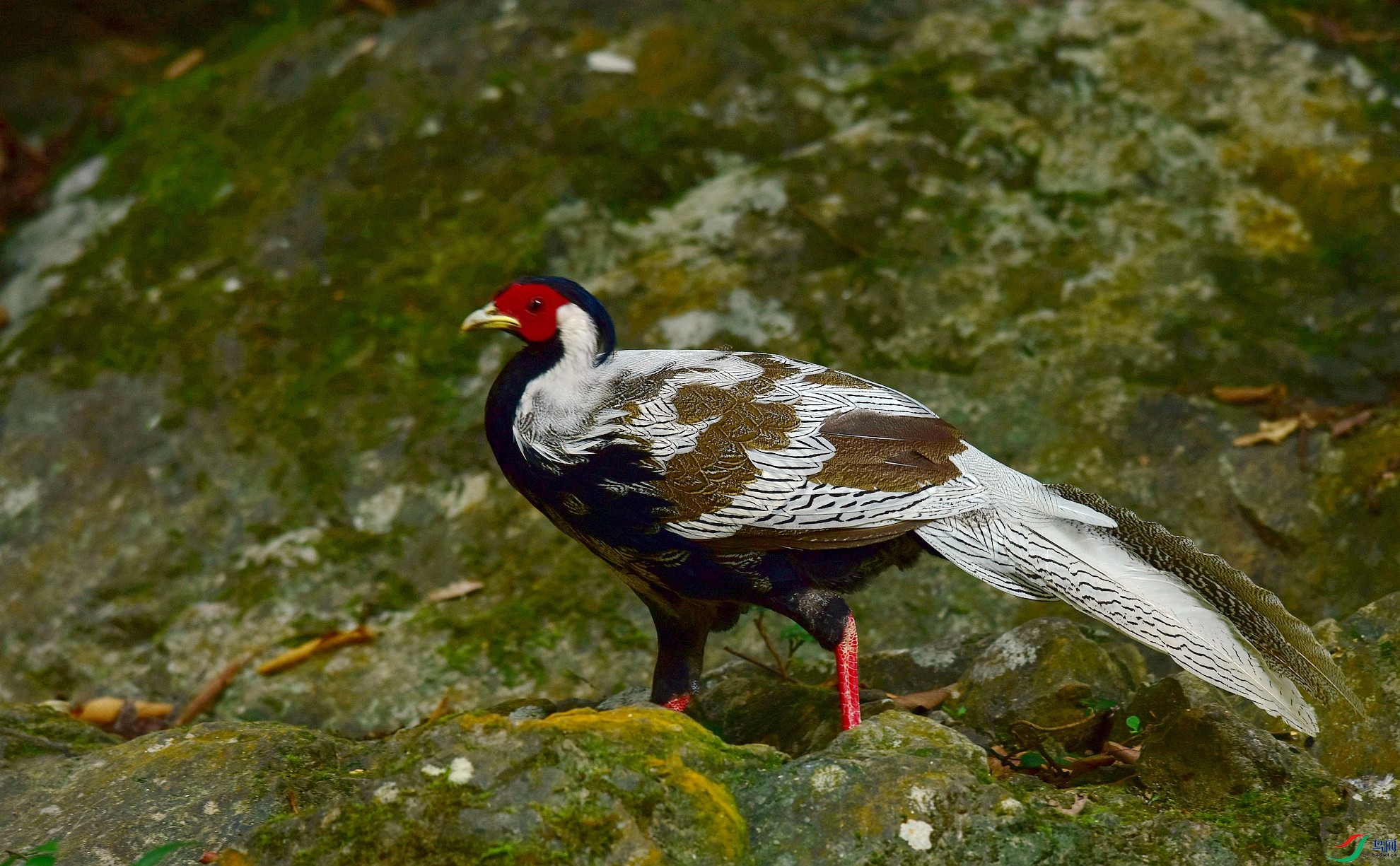D8I_8574.jpg