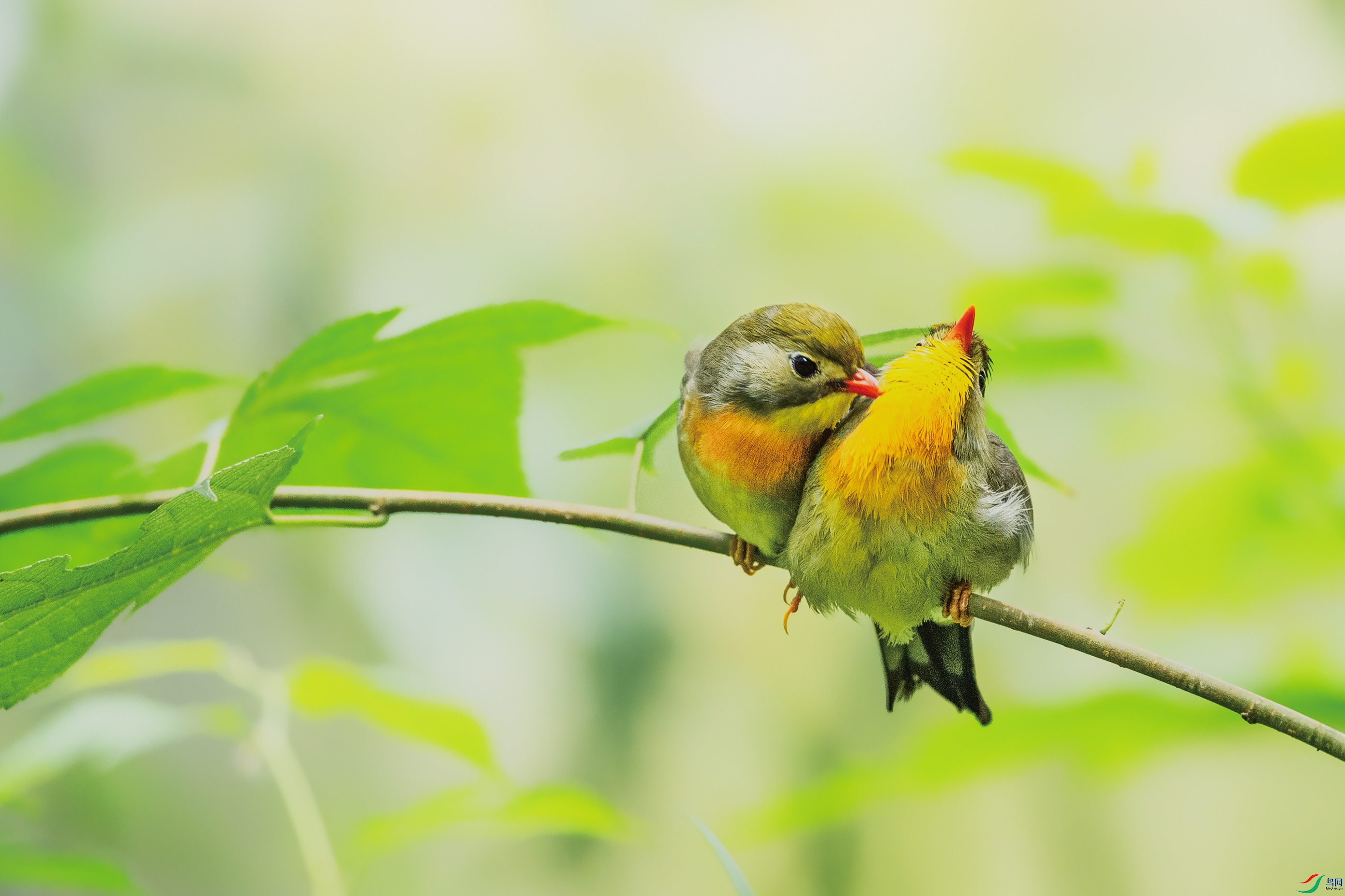 ͼ�� ����.jpg