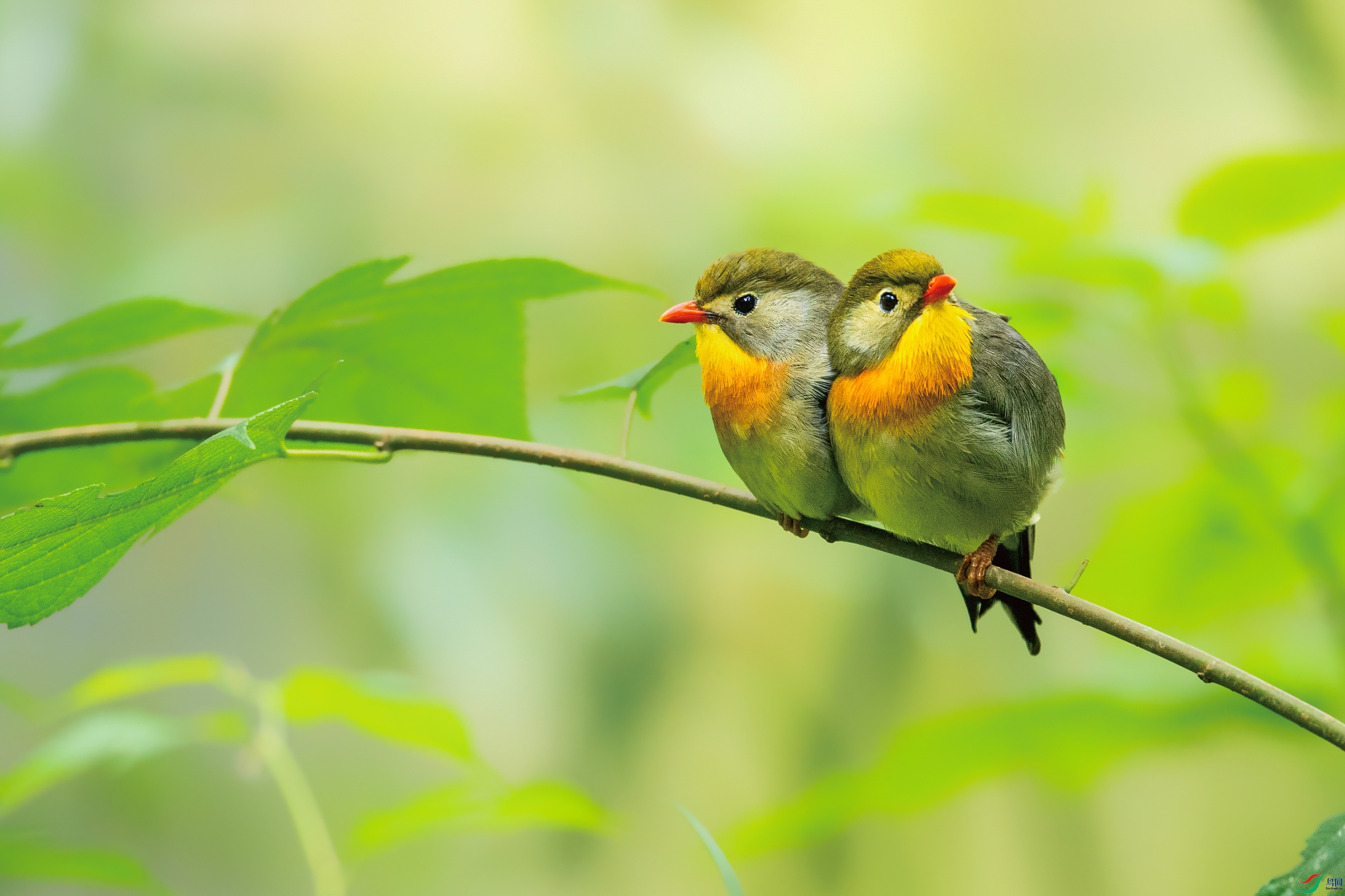 ͼ�� ����.jpg