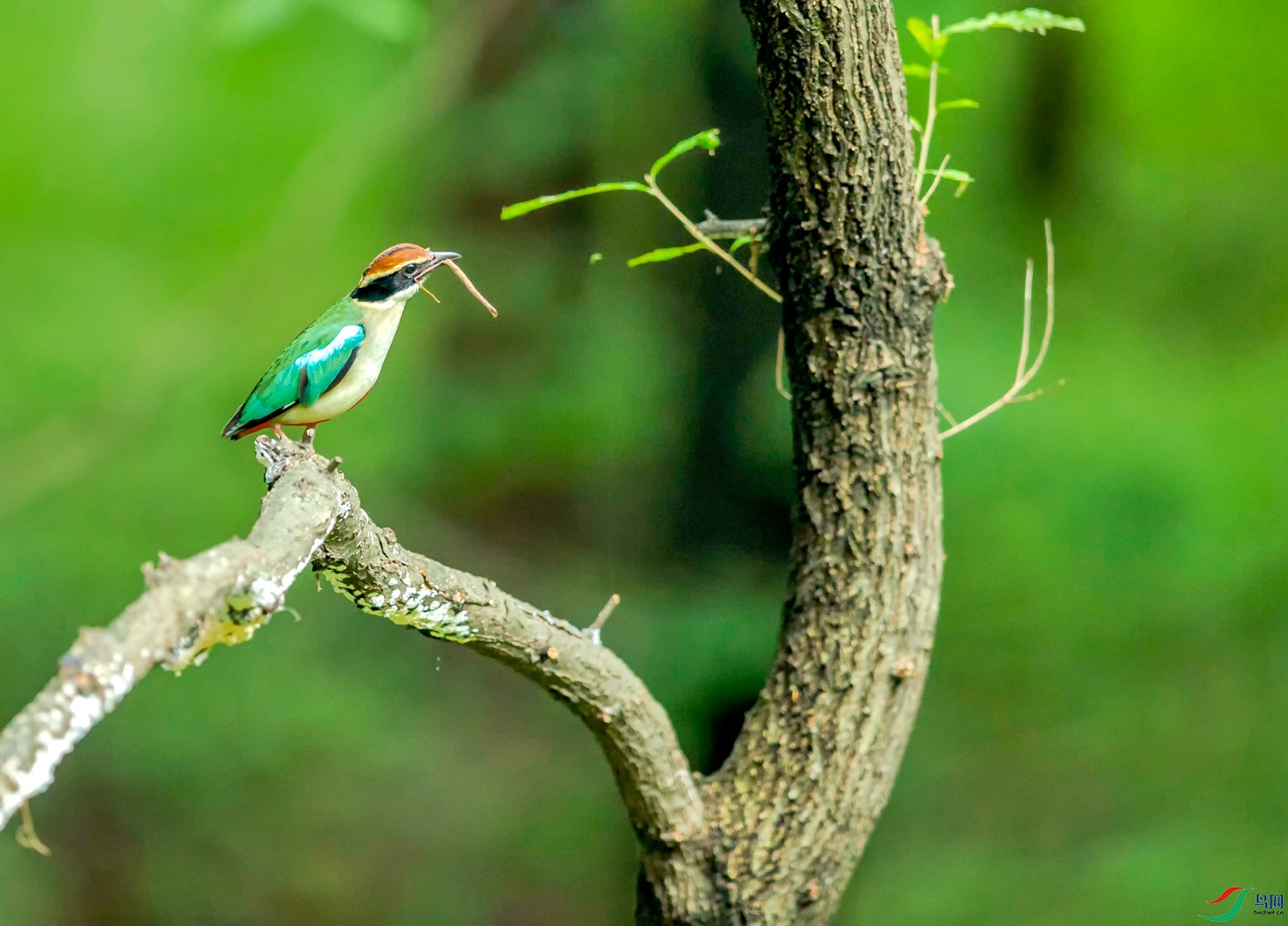 _E8J1079.jpg