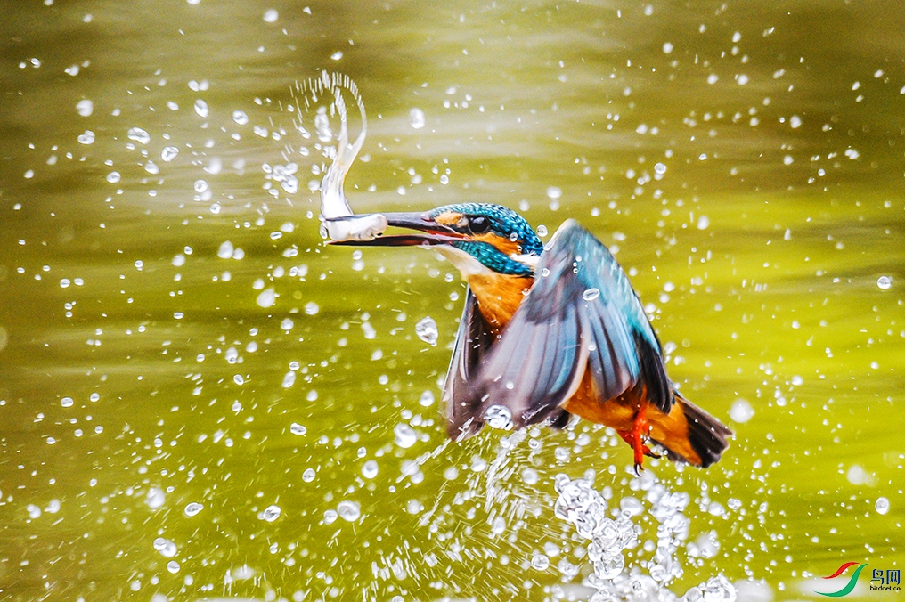 Picture 296268634.jpg