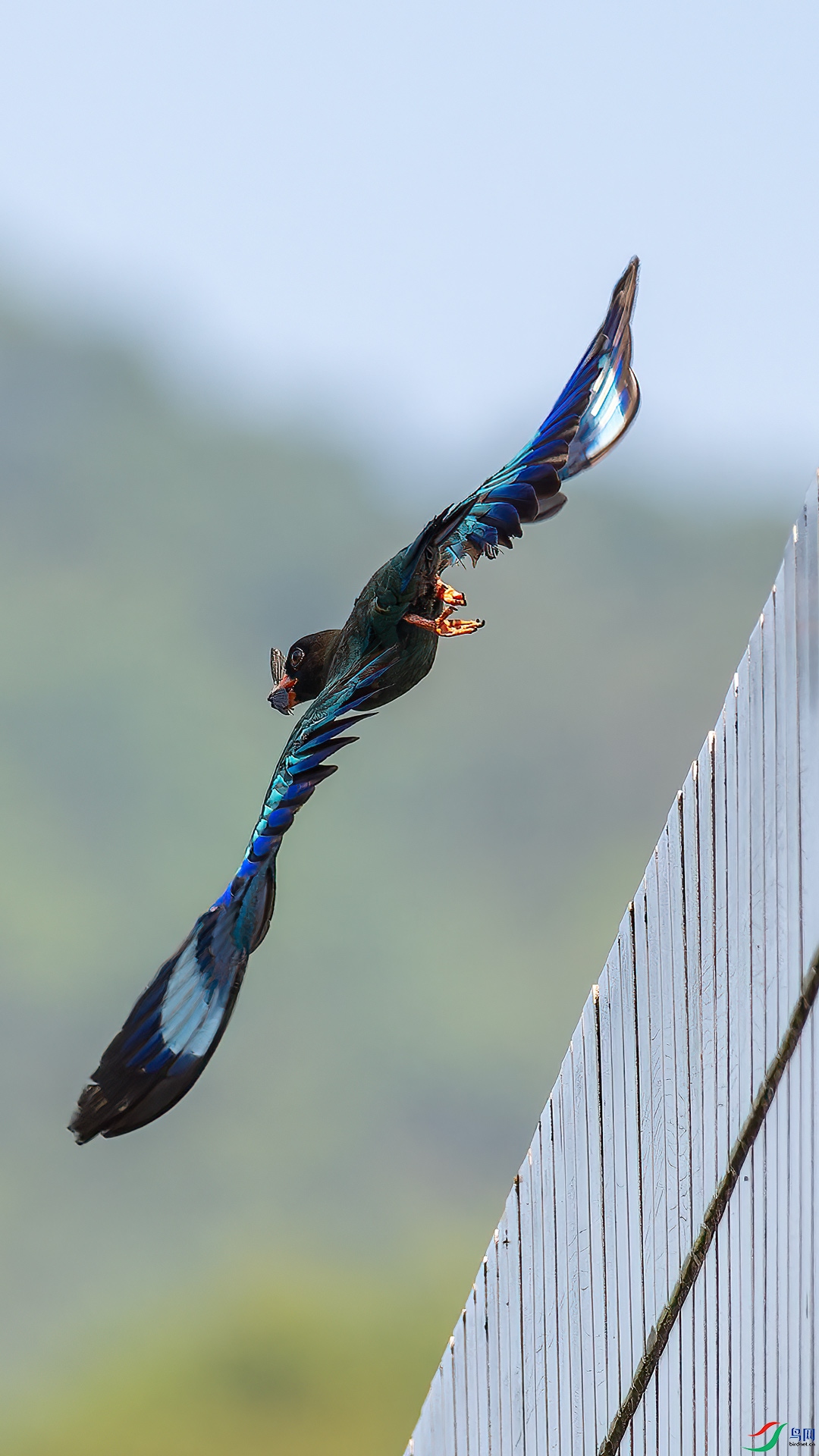 P7112888-ORF_DxOjpg.jpg