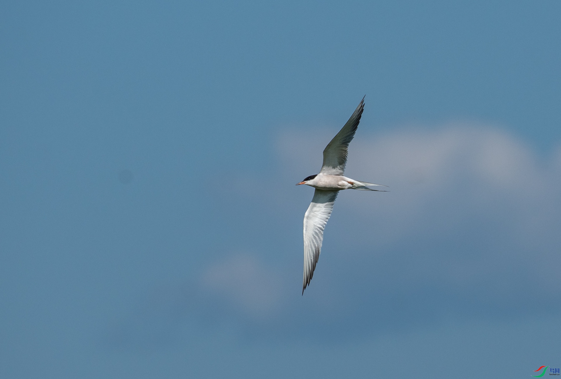 DSC_1553.jpg