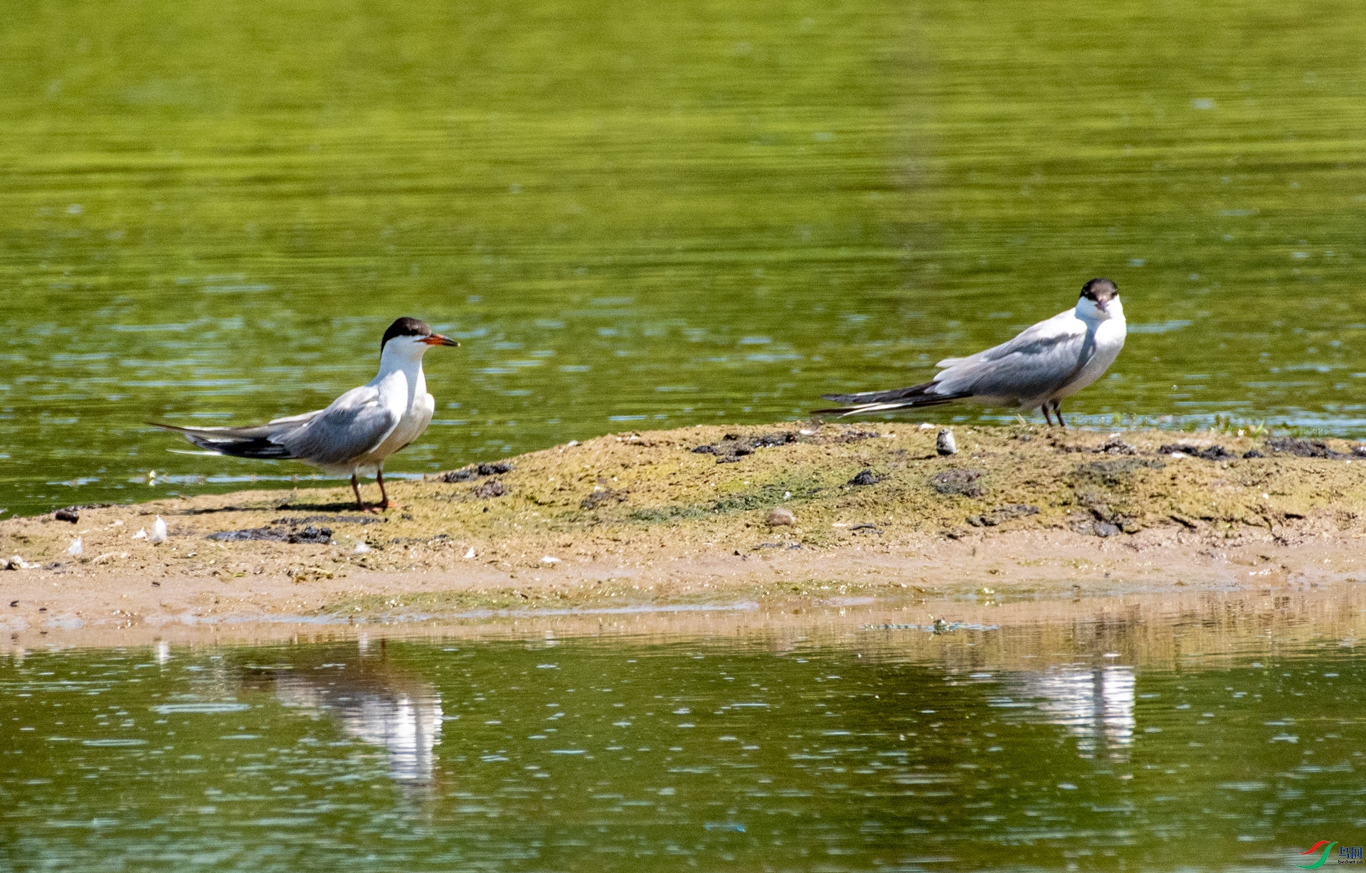 DSC_2846.jpg