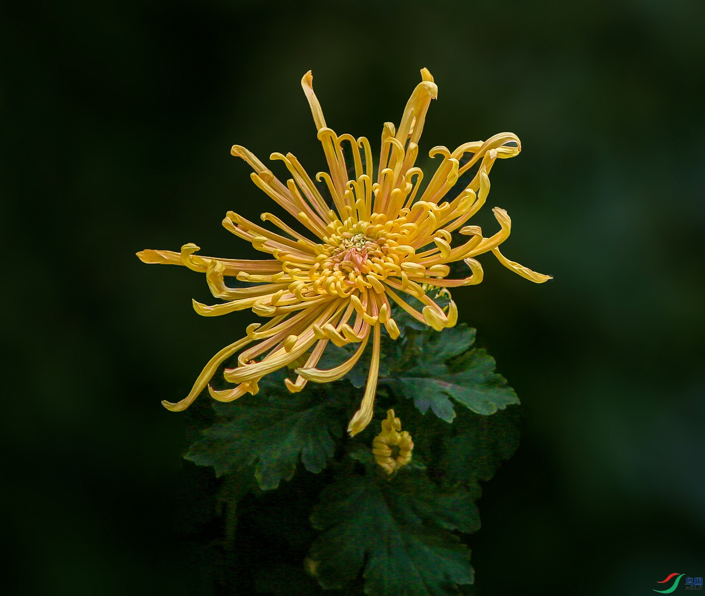 000002U9A0413 �Ʒ���1000k.jpg