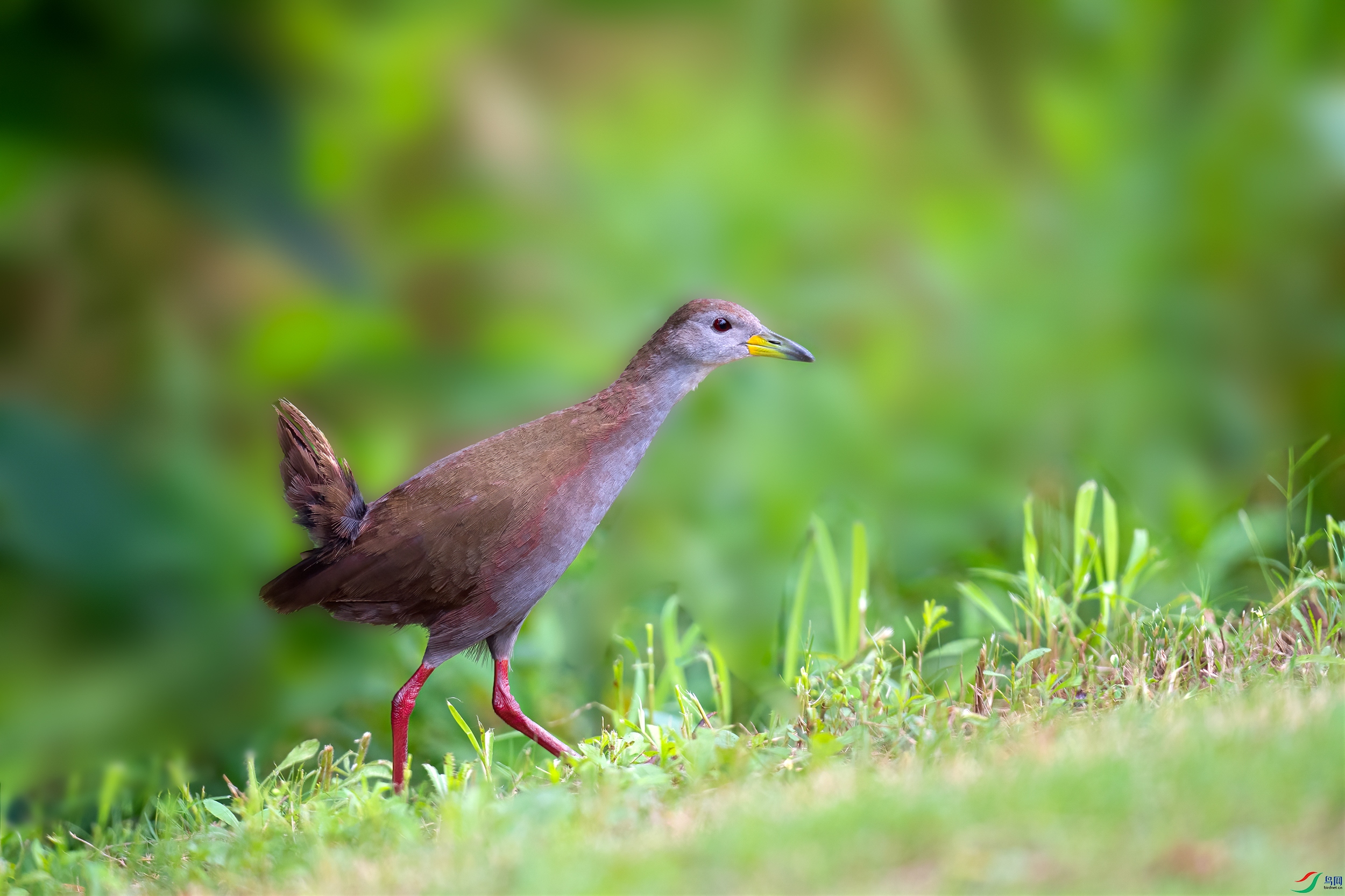 _DSC6344 ����.jpg