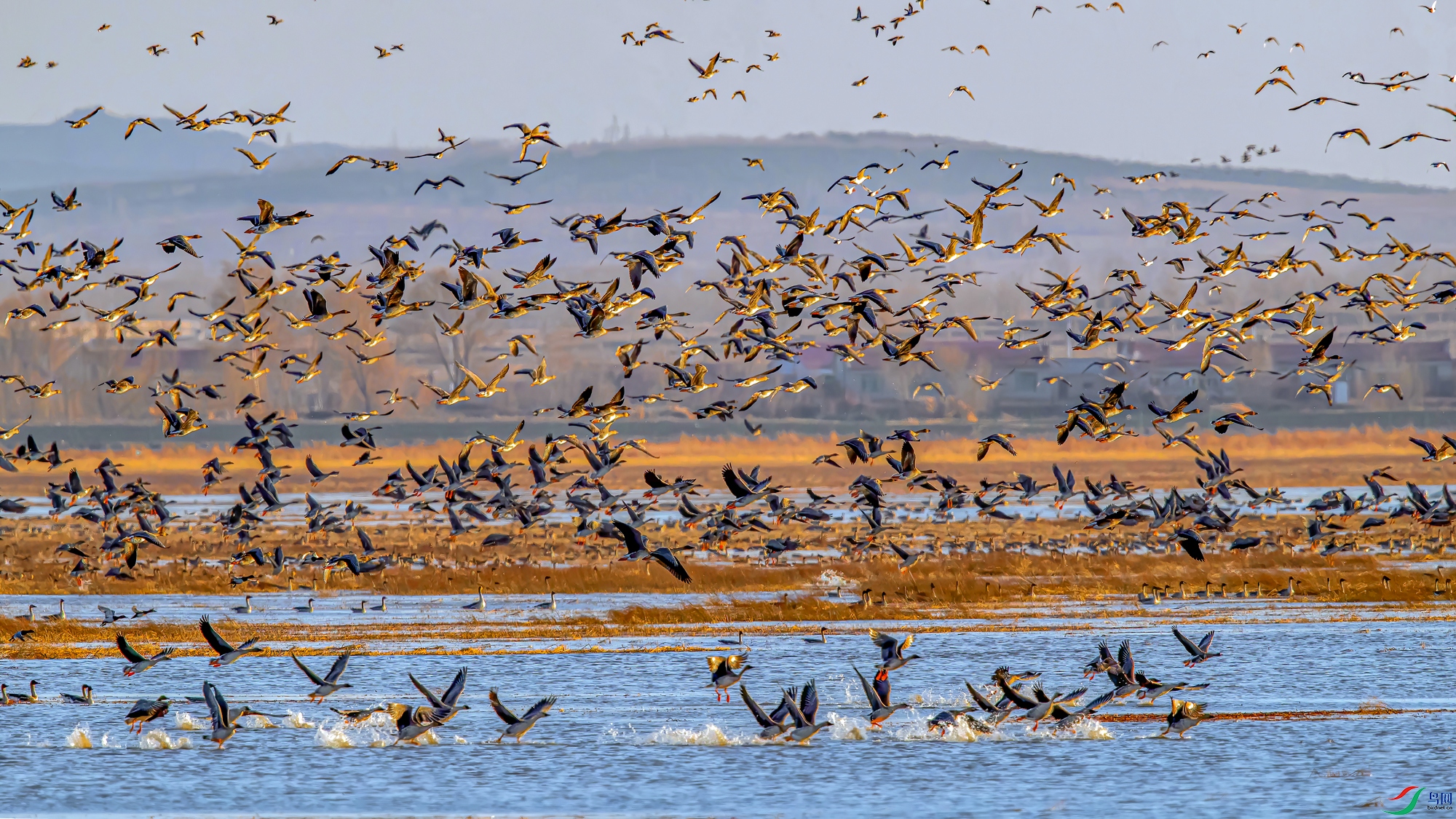 ɽĨ΢Ѭ�ݽ��̡����㱱��չ����