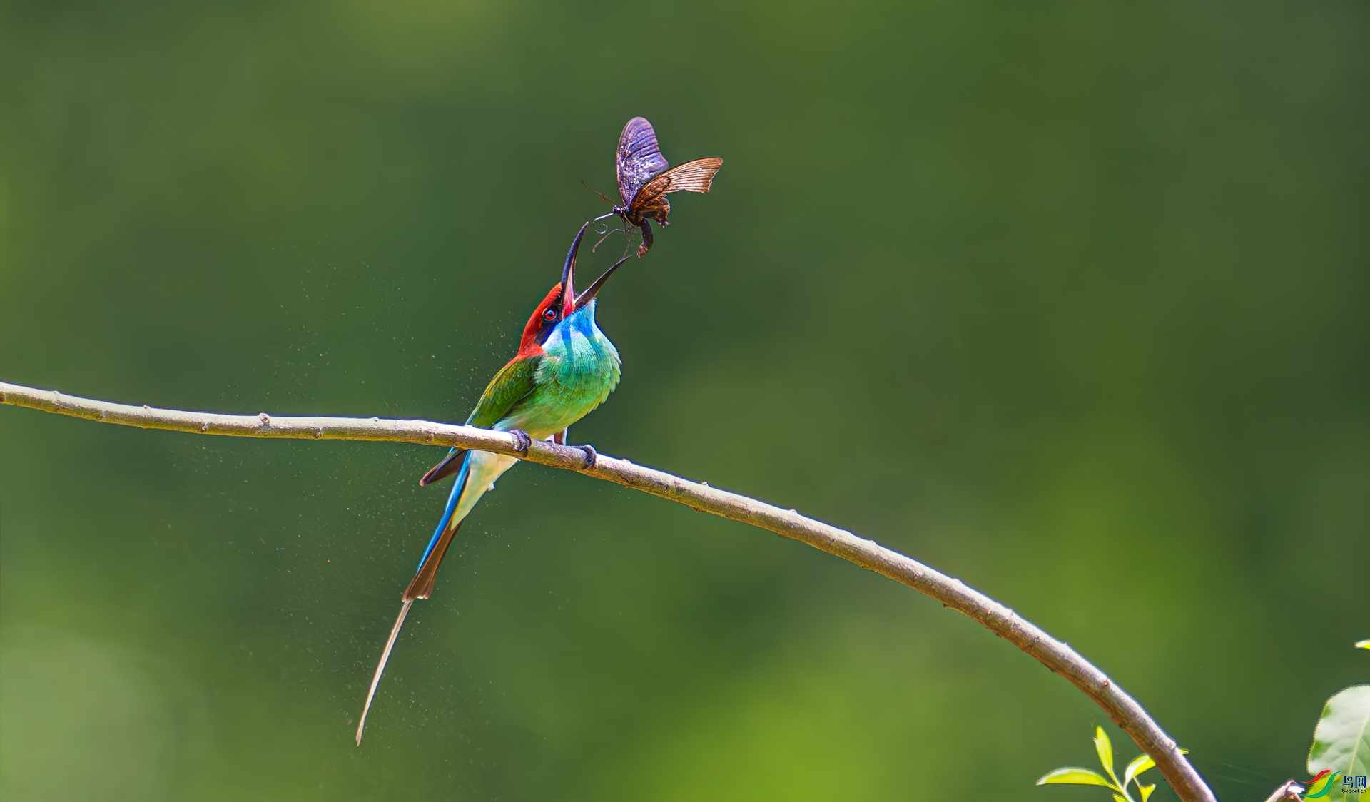 DSC_3340==3.jpg