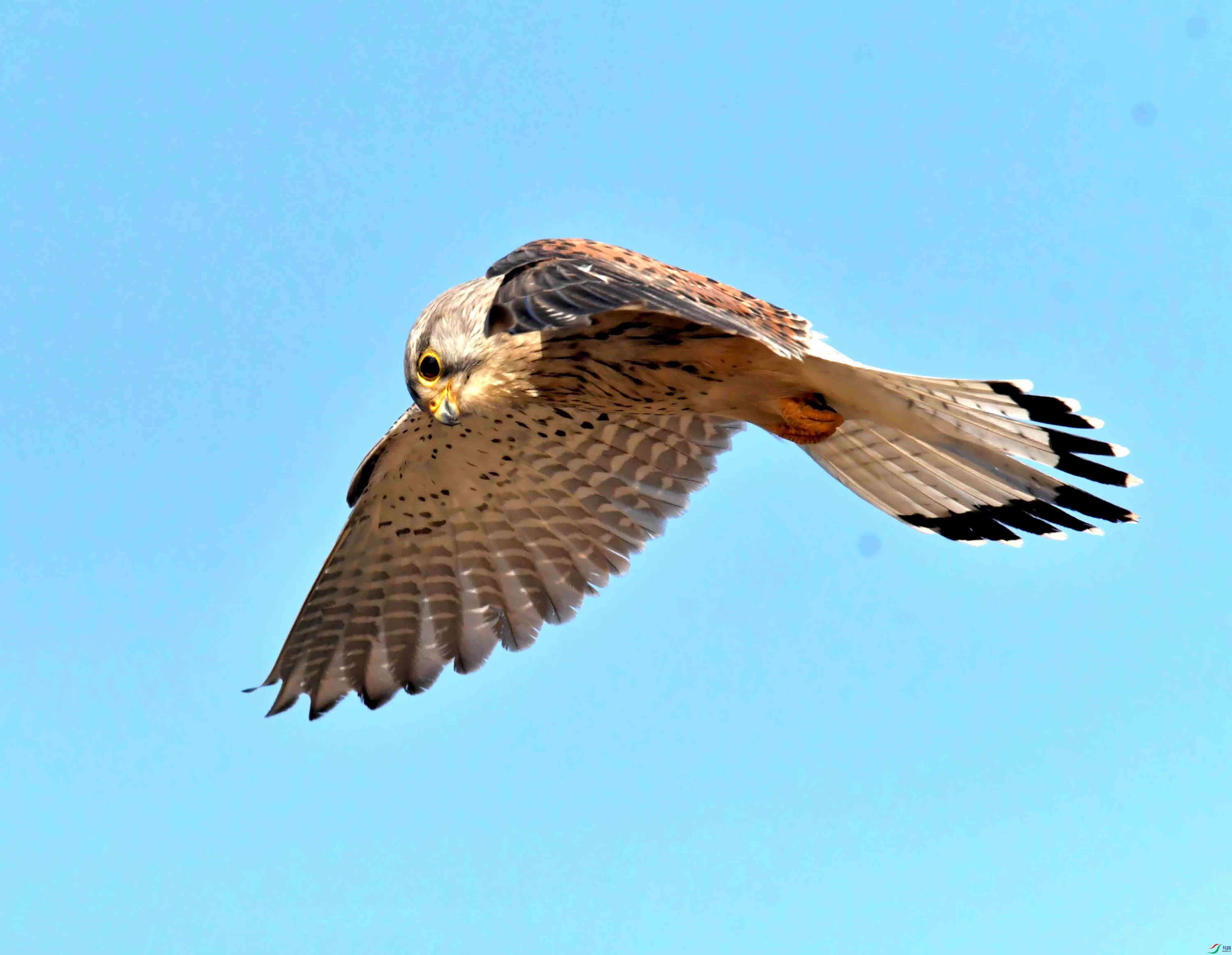 DSC_2840.JPG