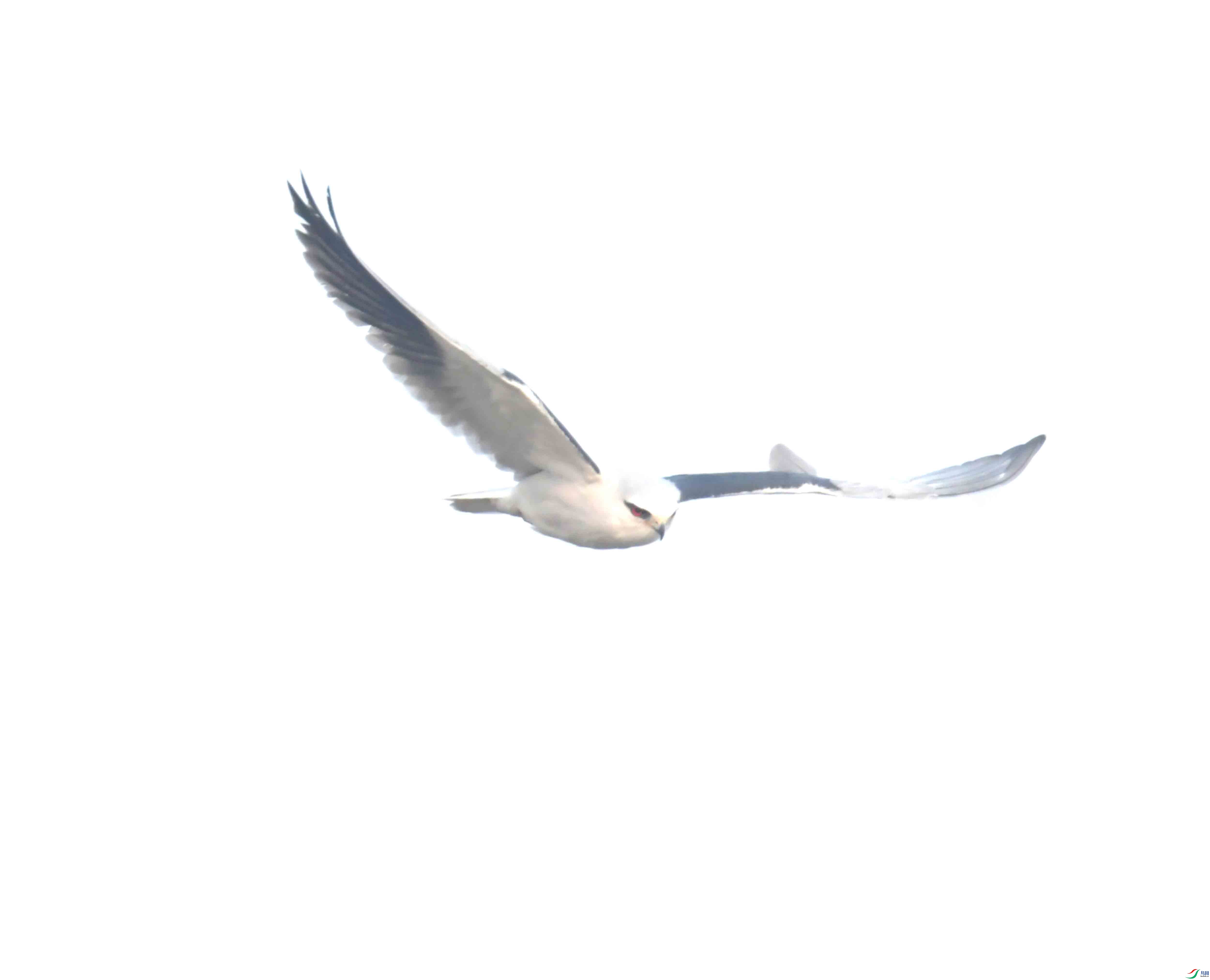 DSC_1778.JPG