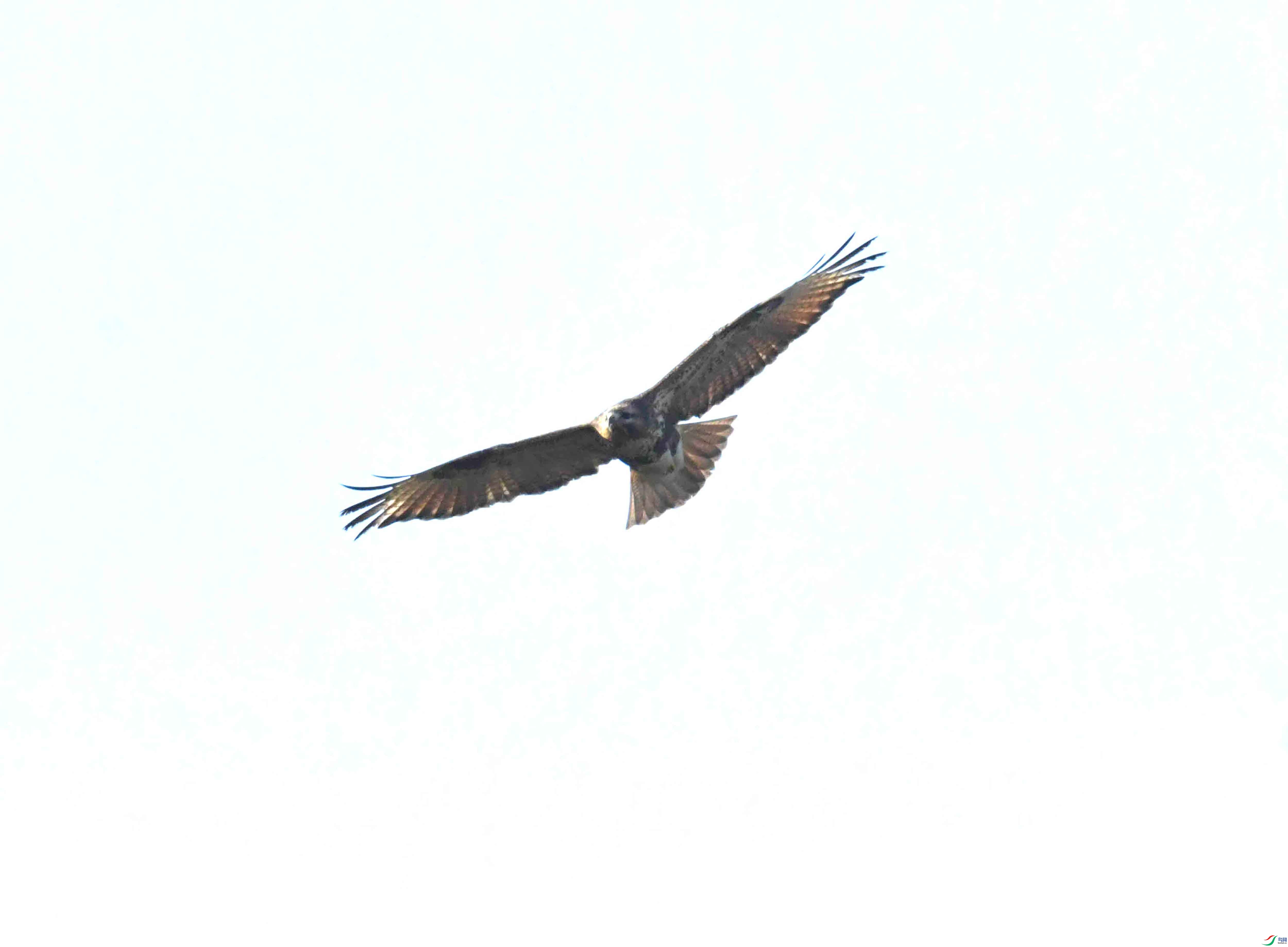 DSC_1134.JPG