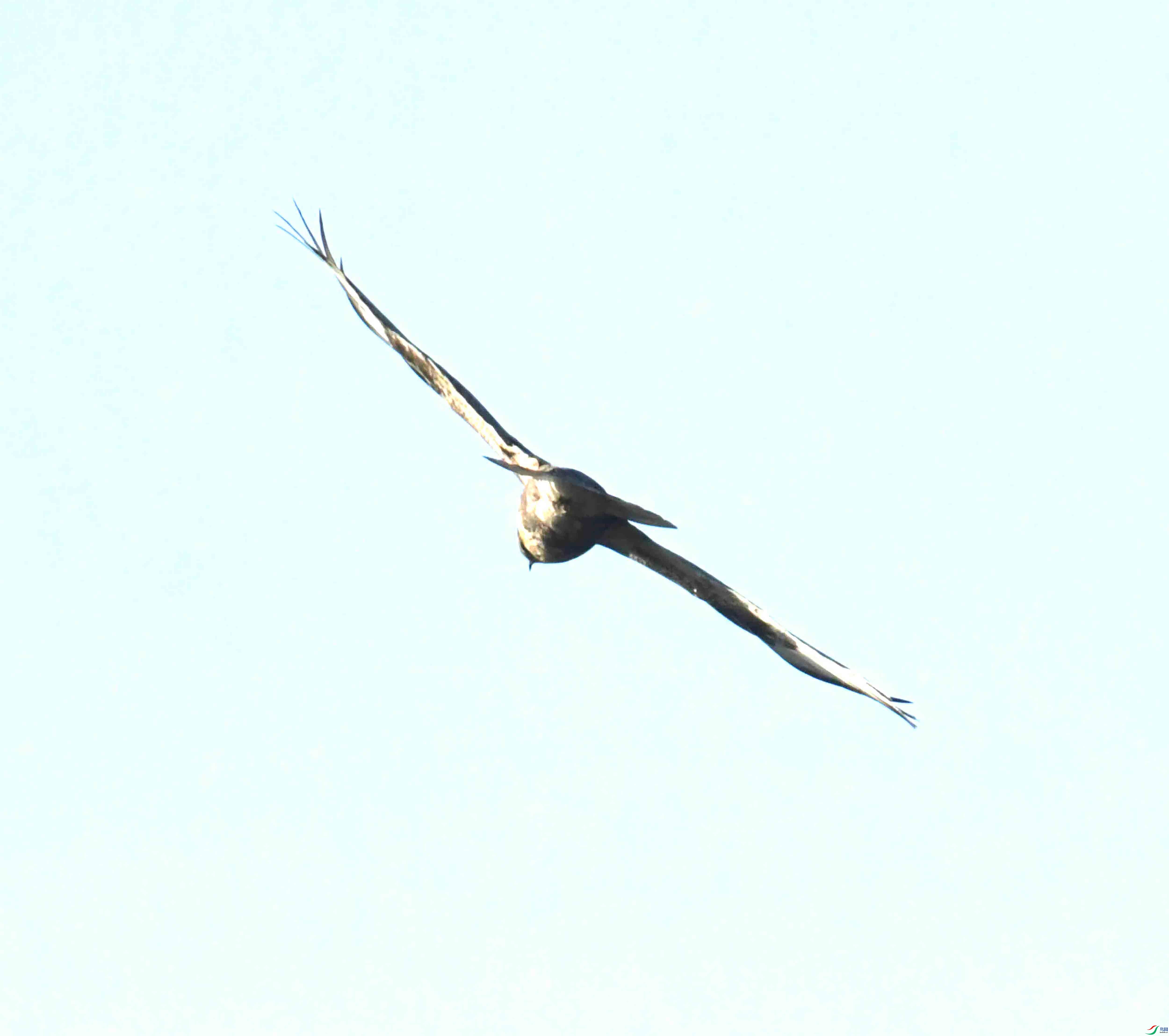 DSC_1144.JPG