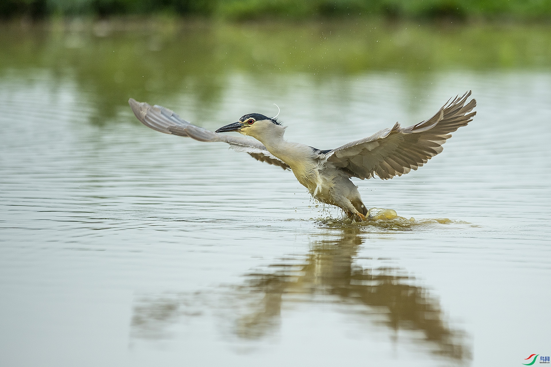 DSC_8702.jpg