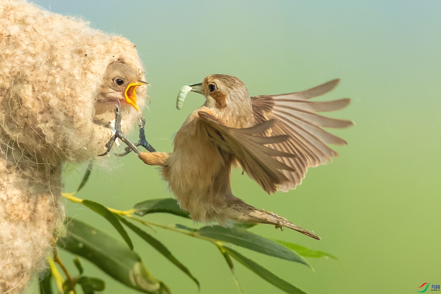 _P2I9453 ����.jpg