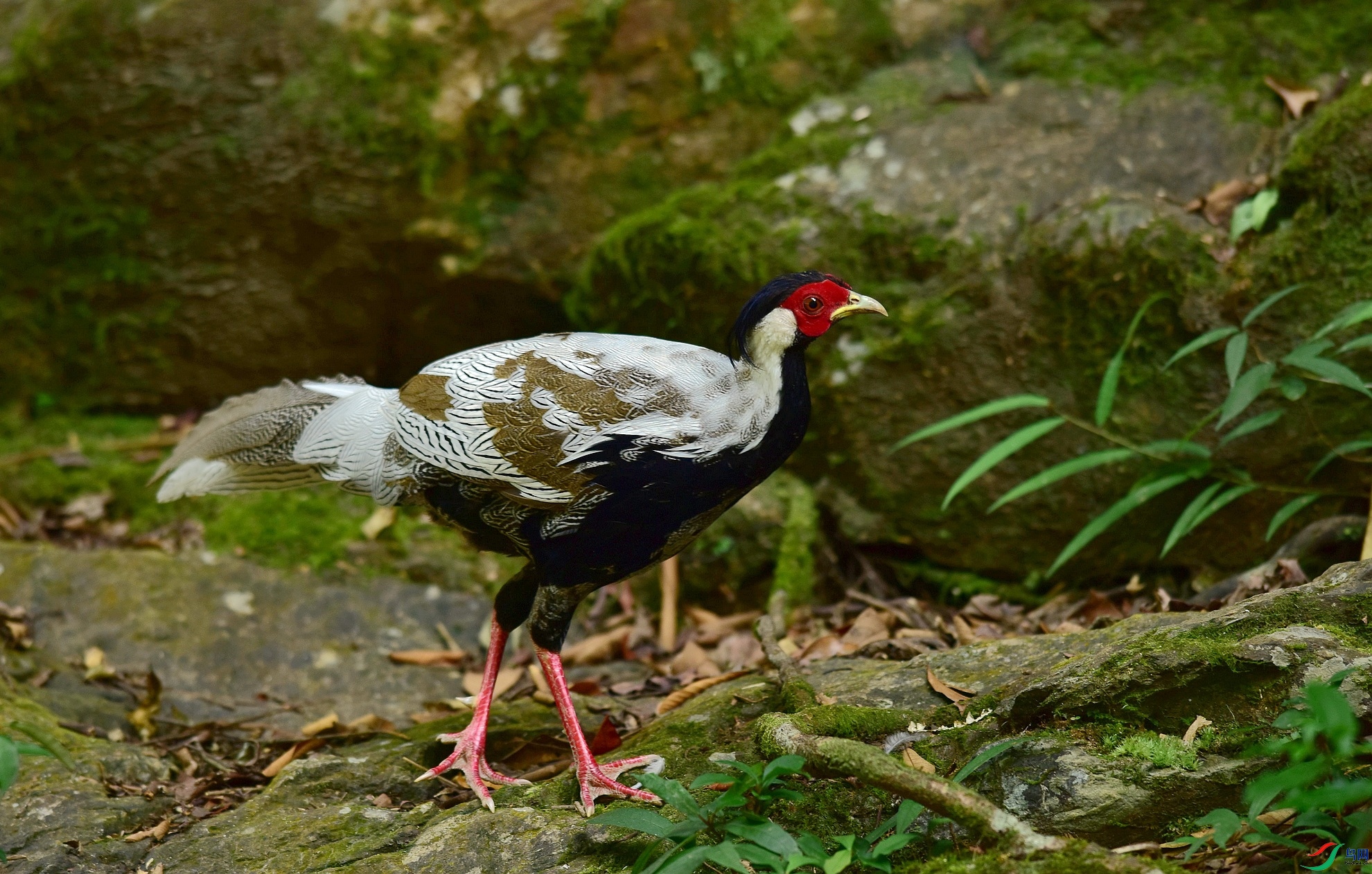 D8I_8002.jpg
