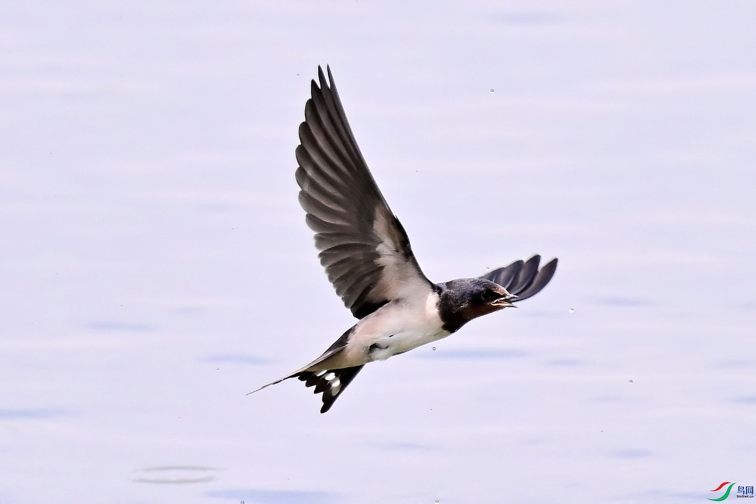 YZH_1373a-De.jpg
