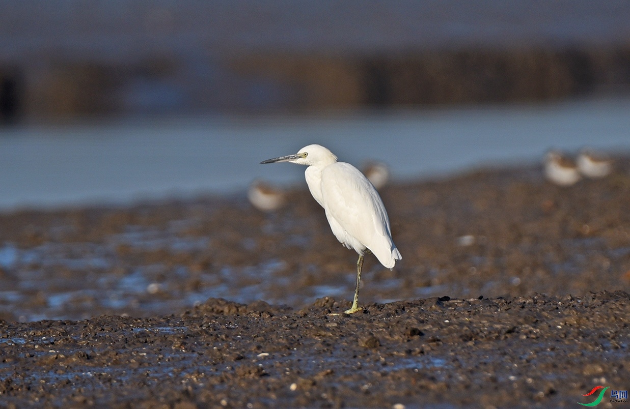 DSC_7056�ȴ�.jpg