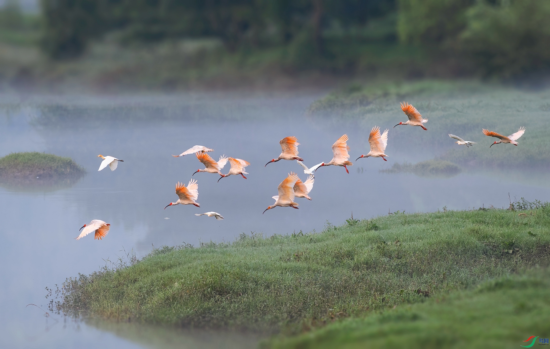 DSC_0532 ����_����.jpg