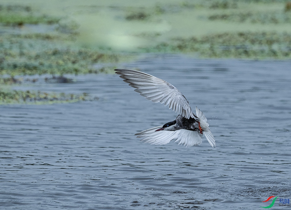 DSC_2361 --3.jpg