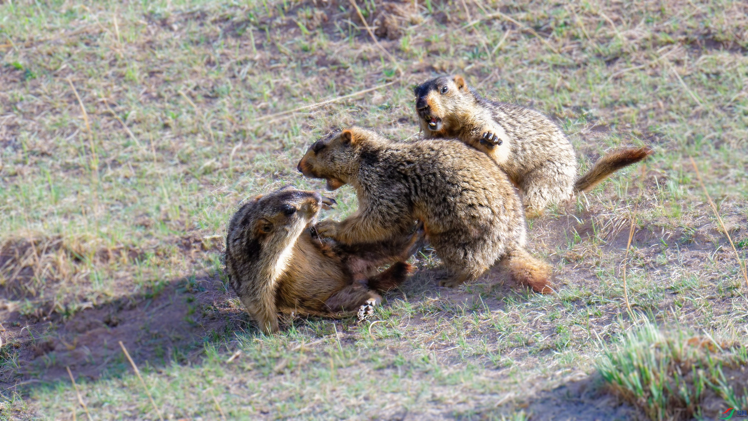 DSC_7796_DxO.jpg