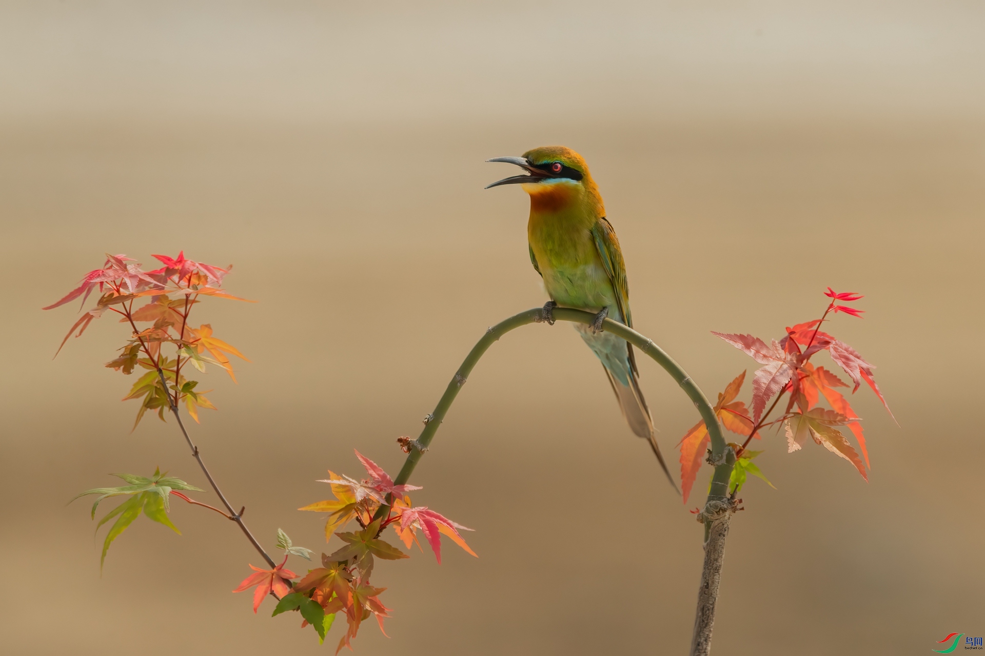 B86I6375 _����.jpg