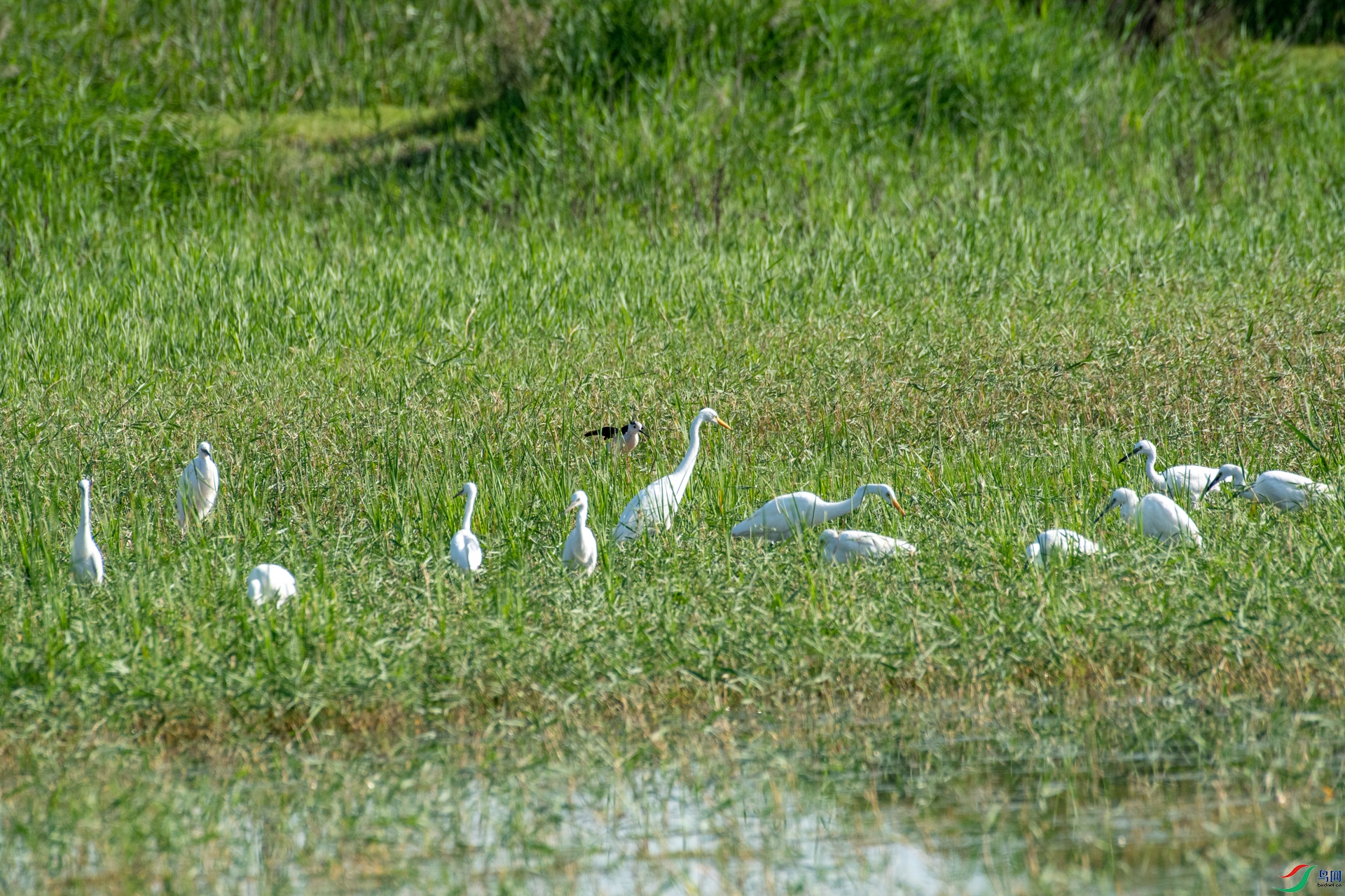 DSC_3426.jpg