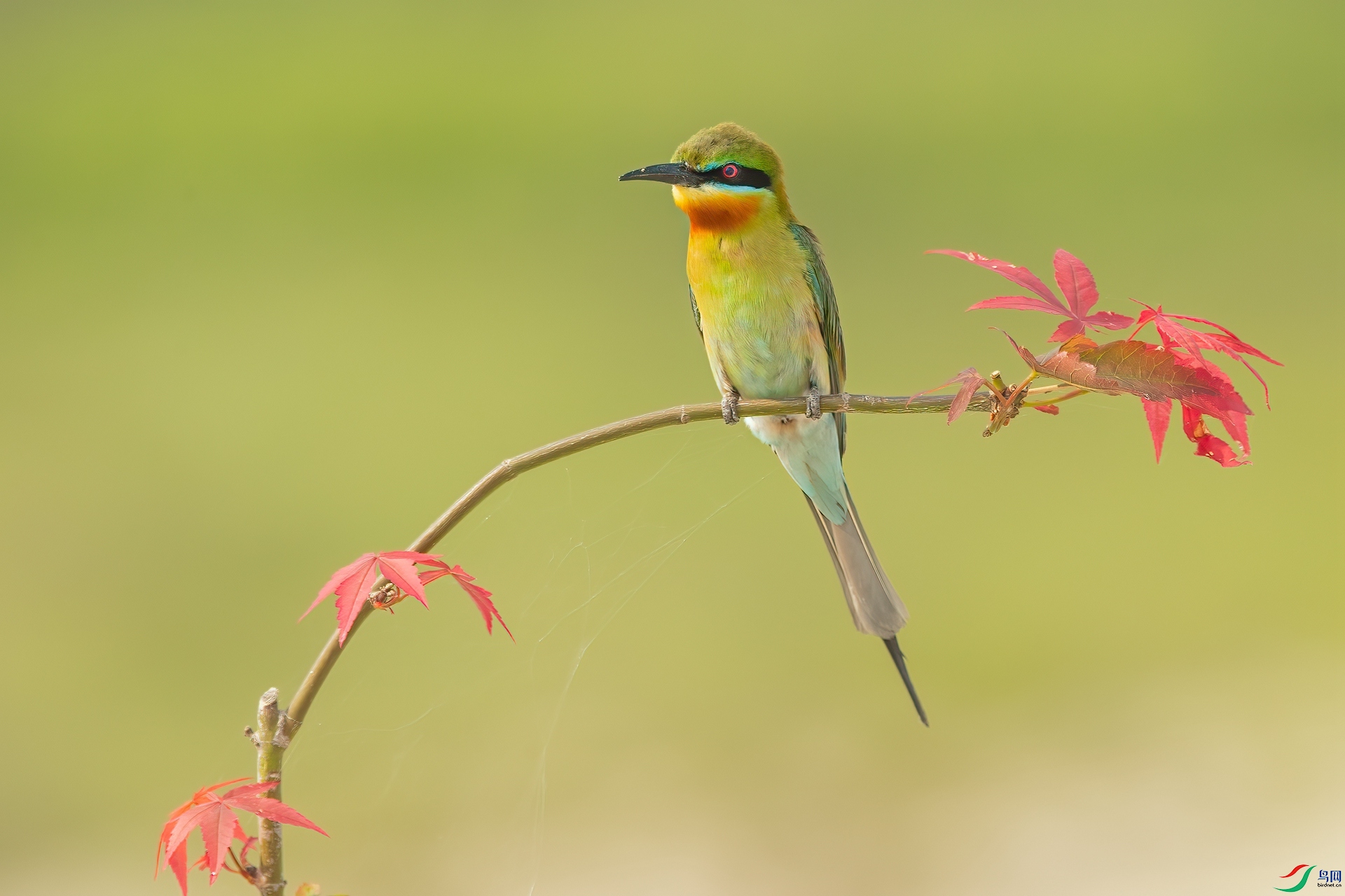 B86I7015 _����.jpg