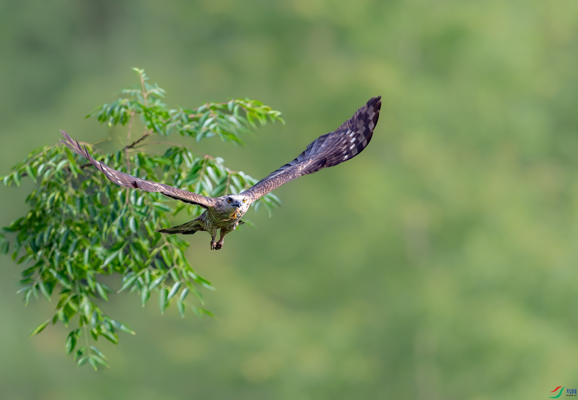 DSC_7923.jpg