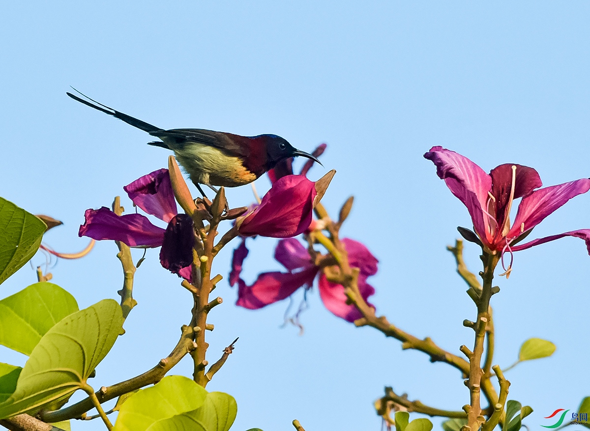 DSC_6011.JPG