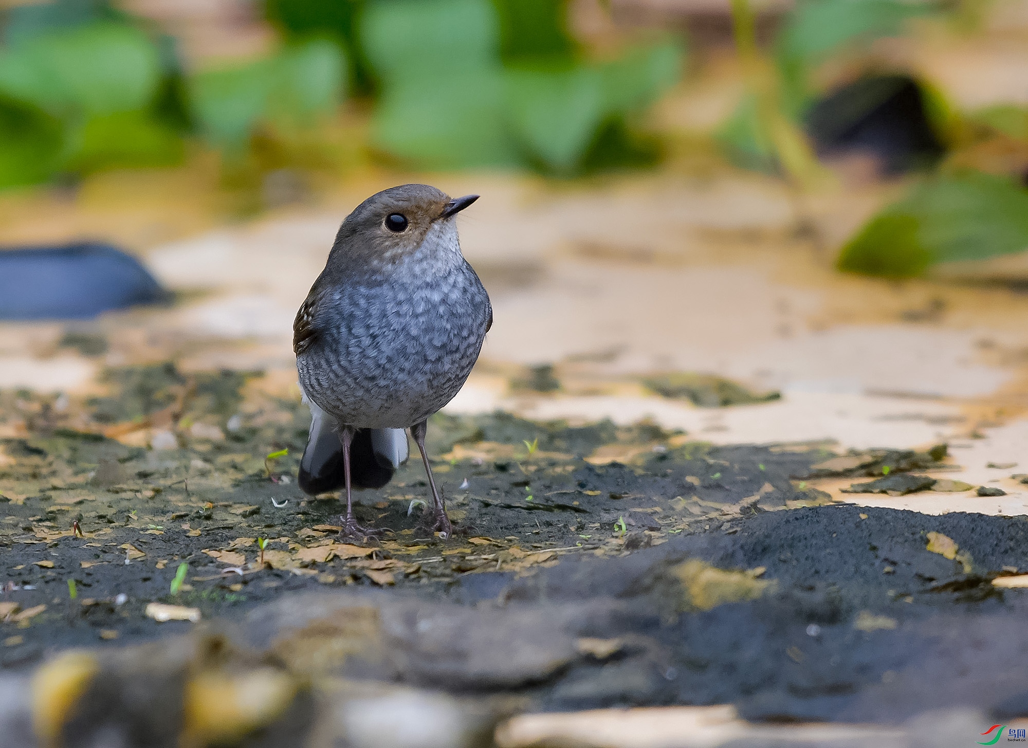 DSC_8839.JPG