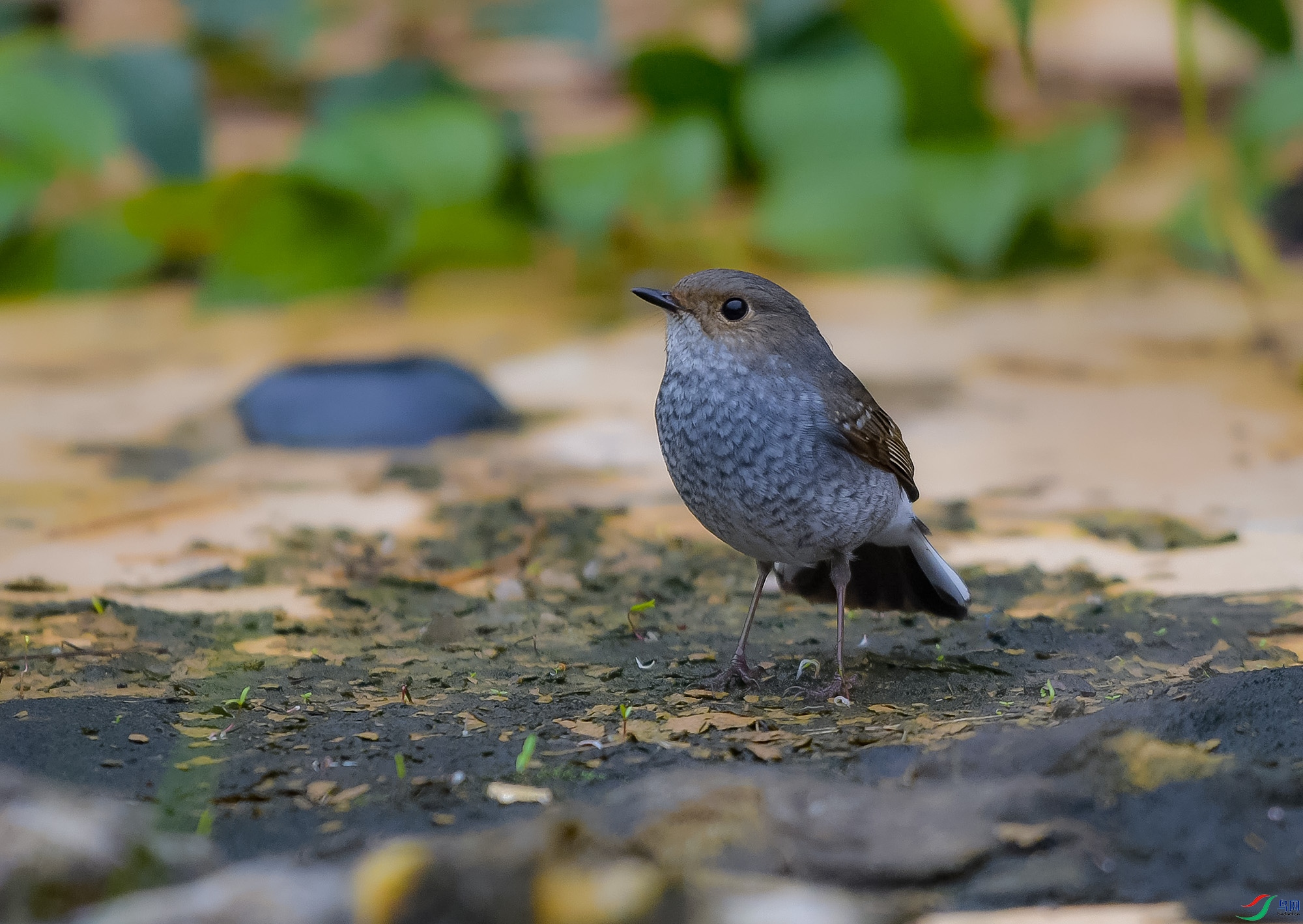 DSC_8835.JPG