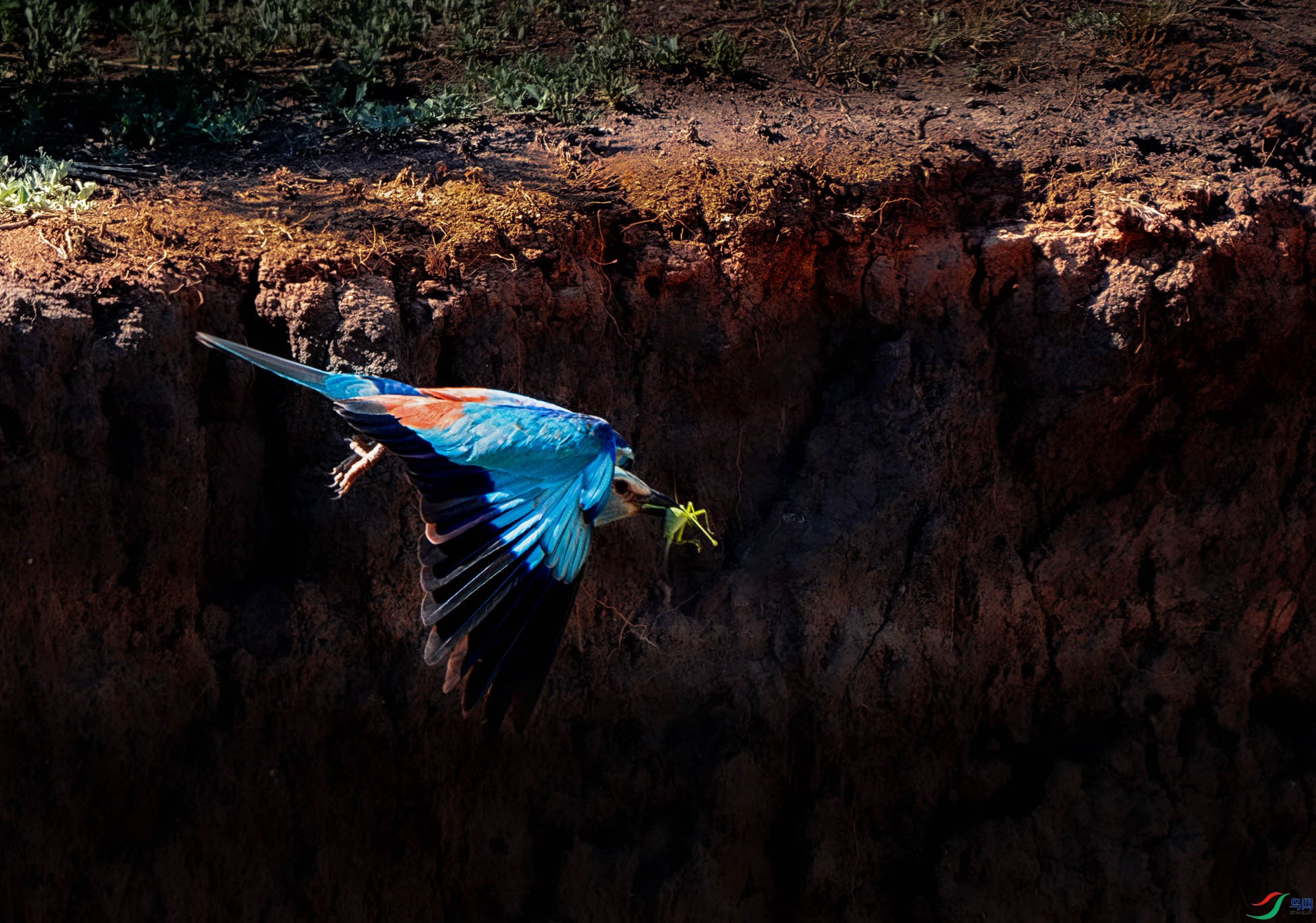 _DSC8394-����ǿ-NR ����.jpg