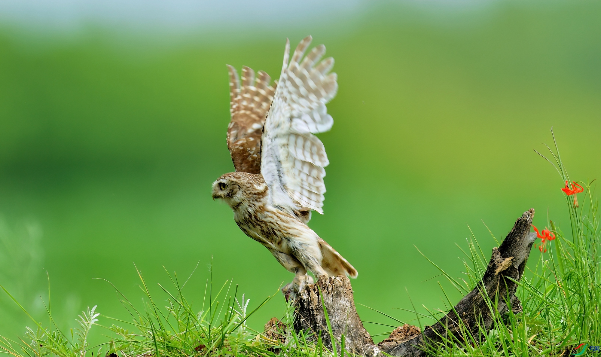 WZL_7312_����.jpg