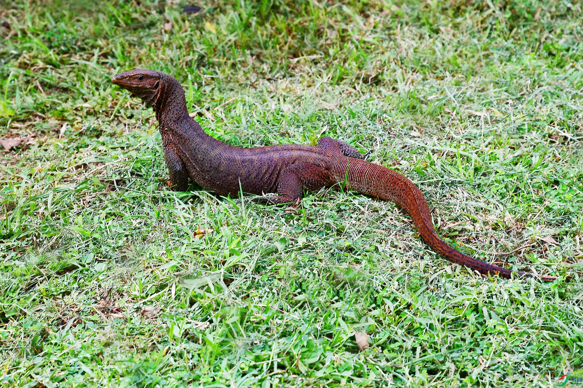 DSC_7722_.jpg