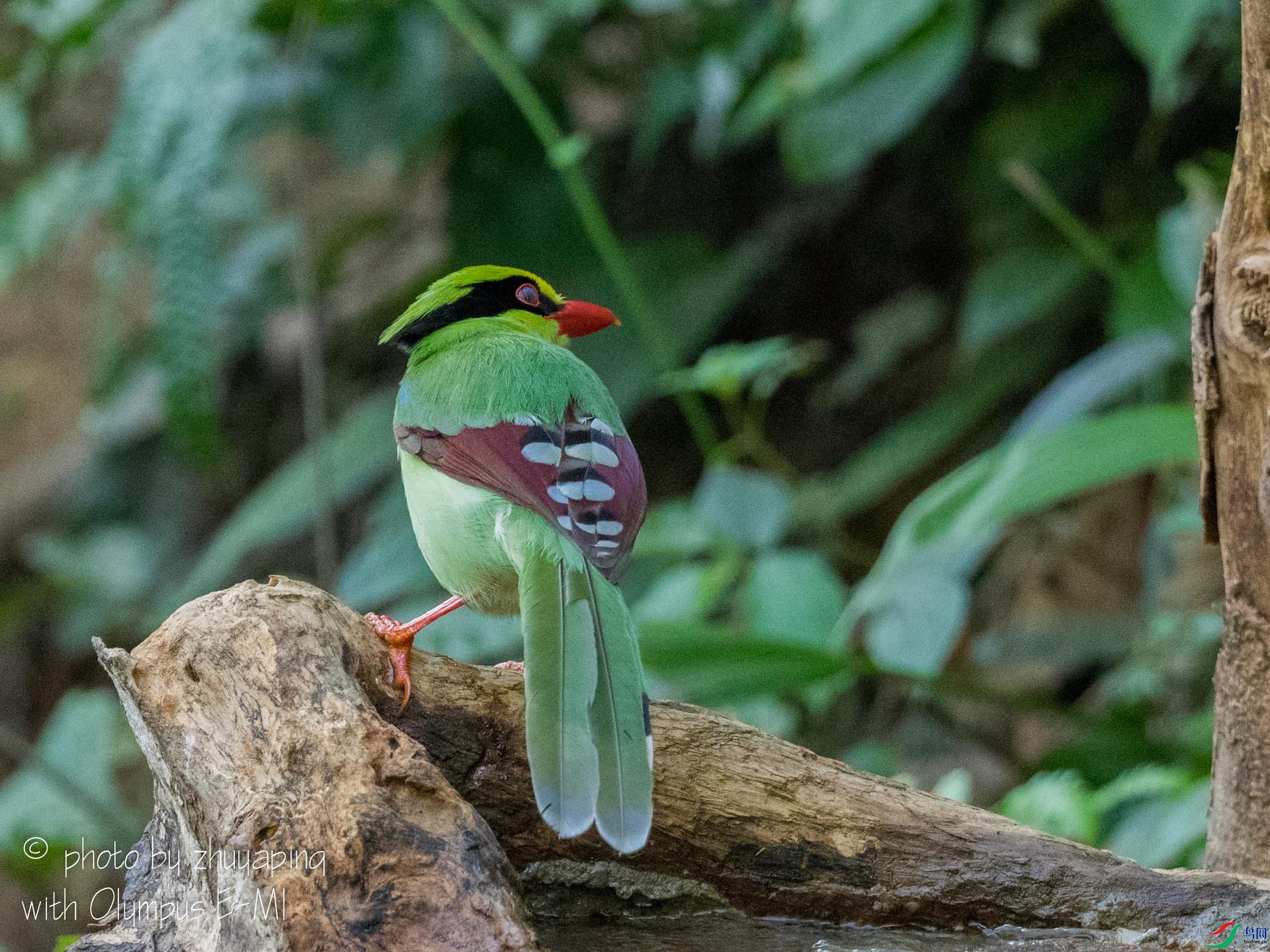 _1240724.jpg