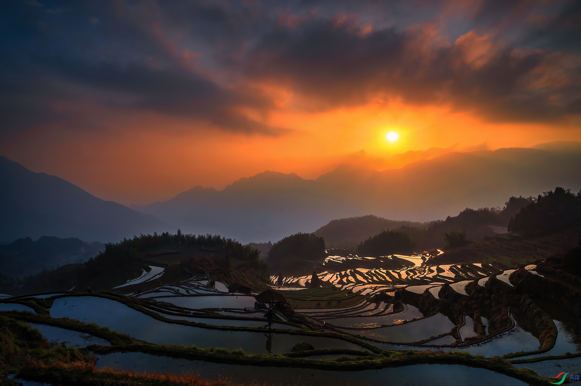 DSC_1340 - ���ﳿ��.jpg