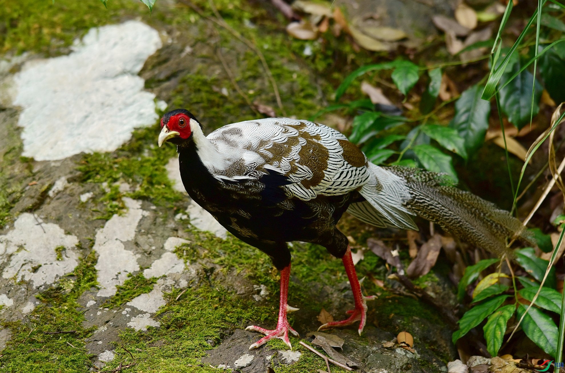 D8I_7973.jpg
