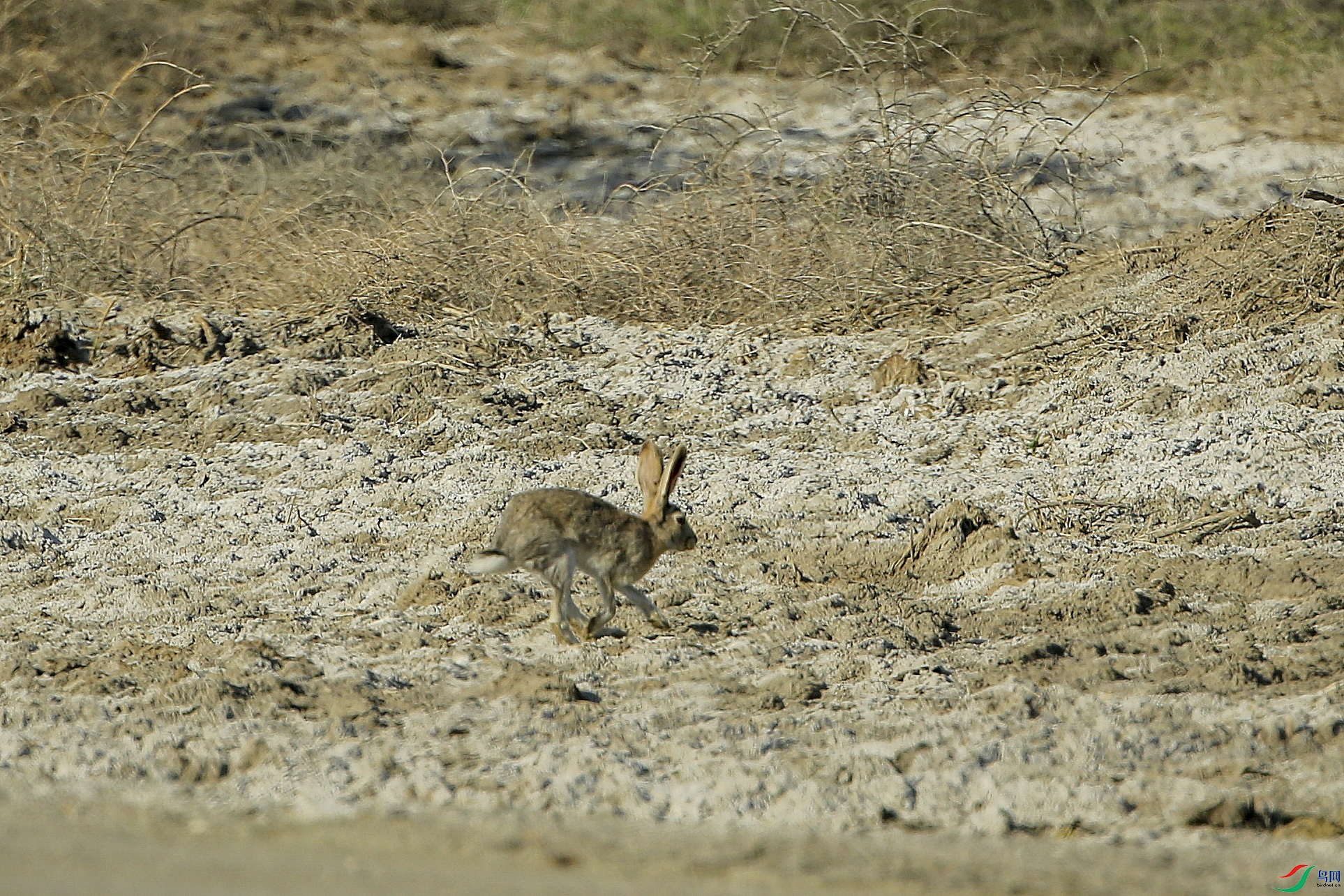 AB1I8319.JPG
