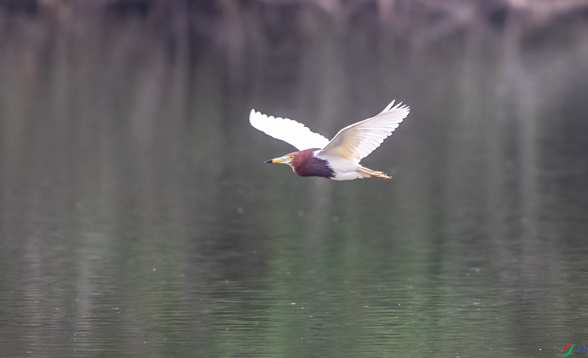 DSC_7393.jpg