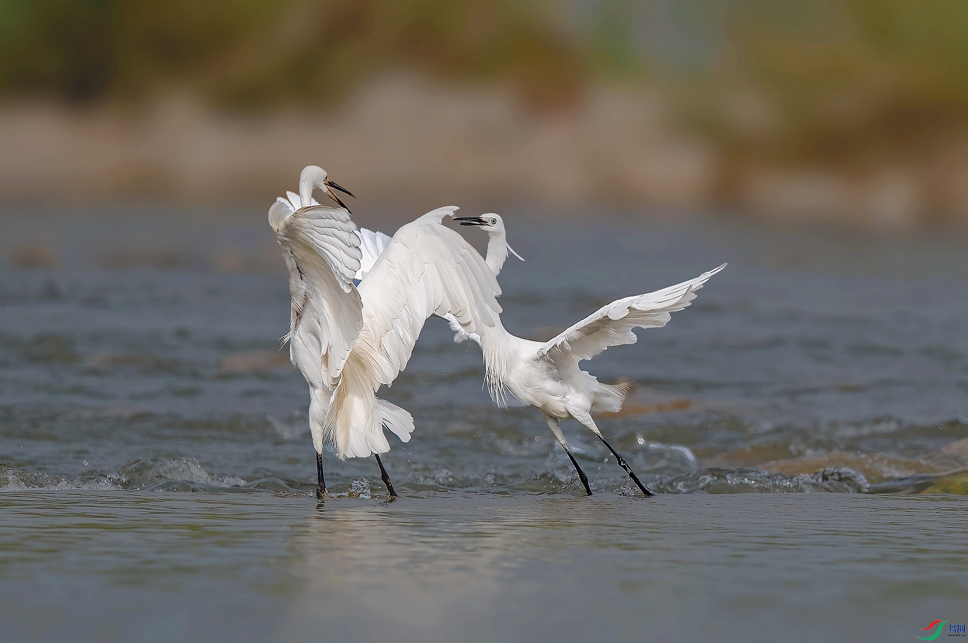 DSC_7658 ����_����.jpg