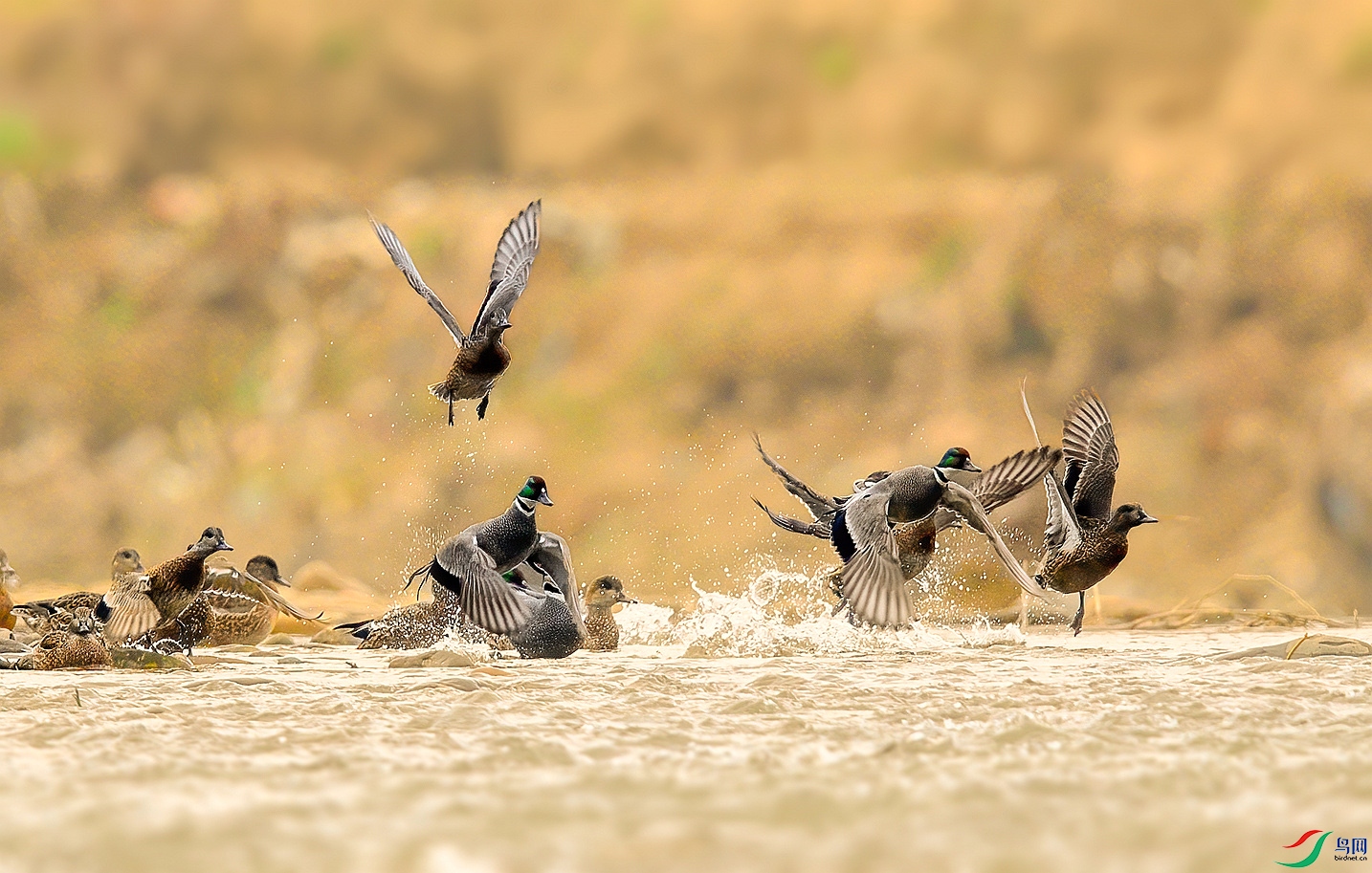 DSC_8740����_���� ����.jpg