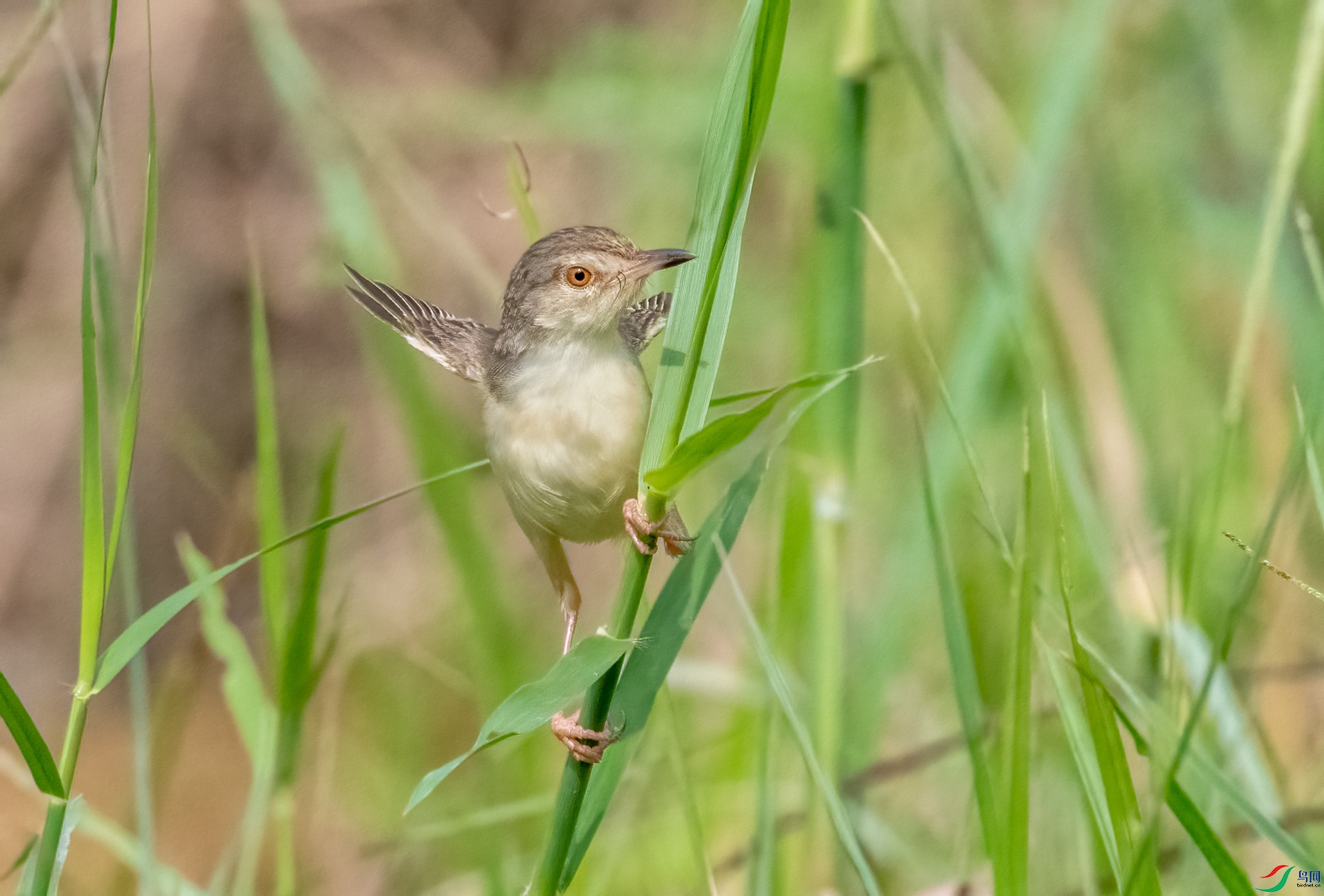 DSC_0100_����.jpg