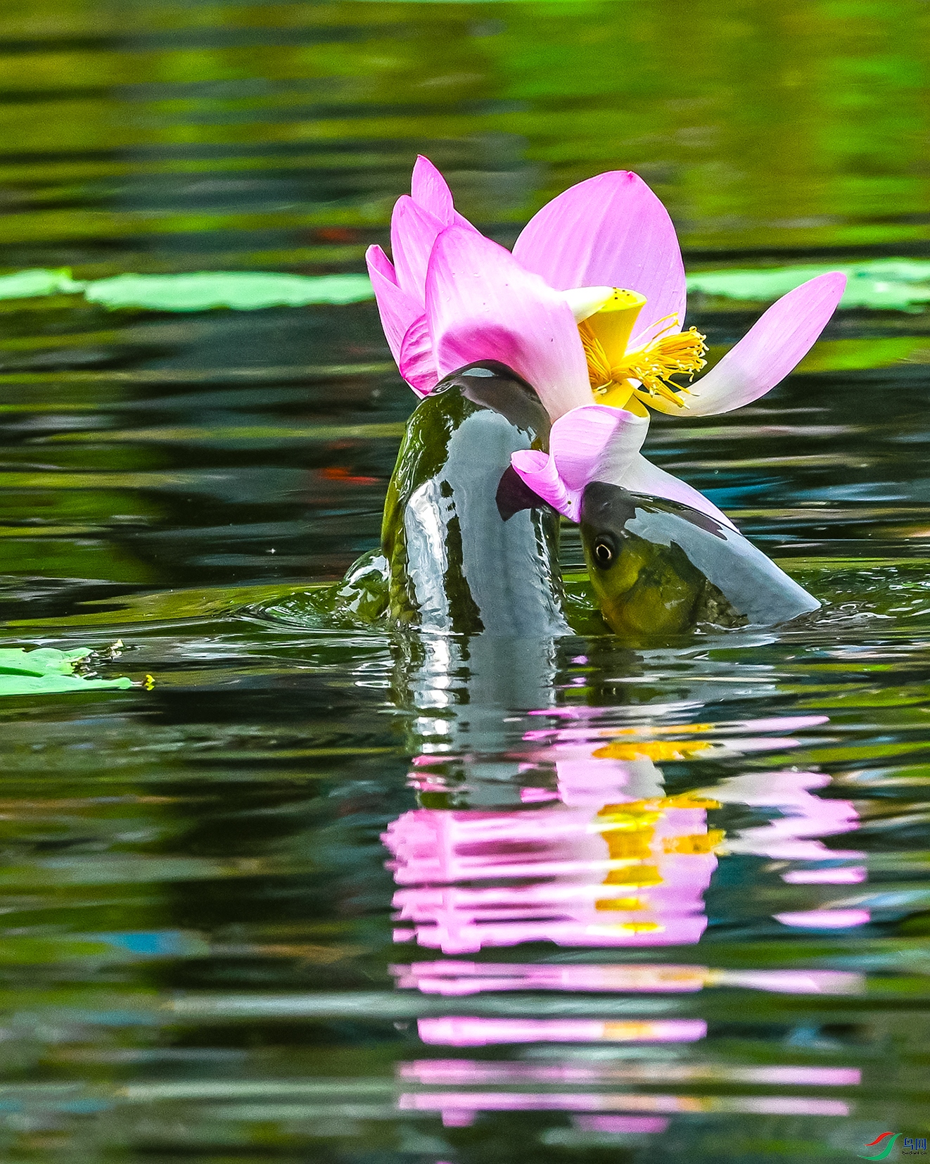 2192 ����.jpg