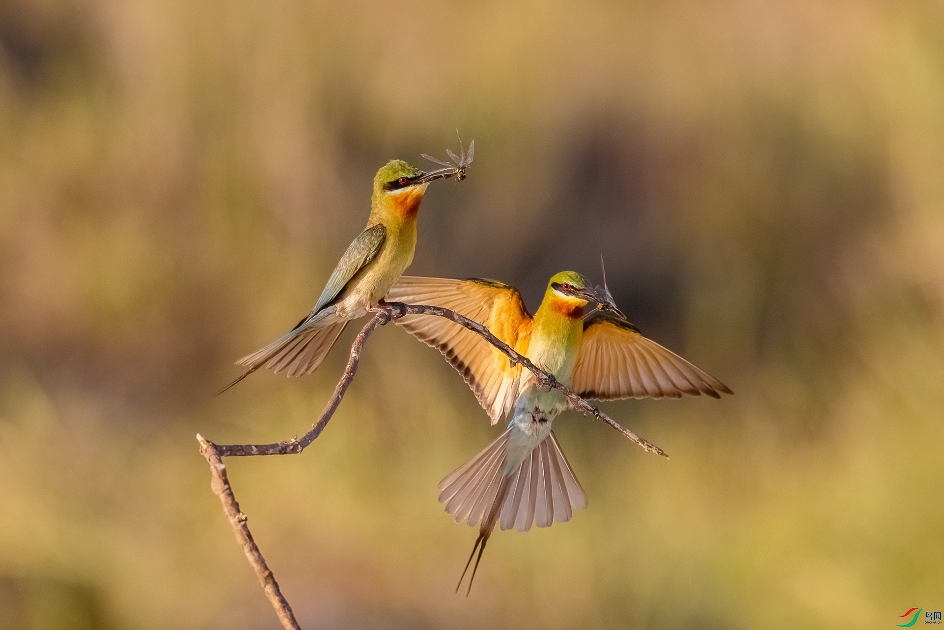 A75A1109-�༭ ����.jpg