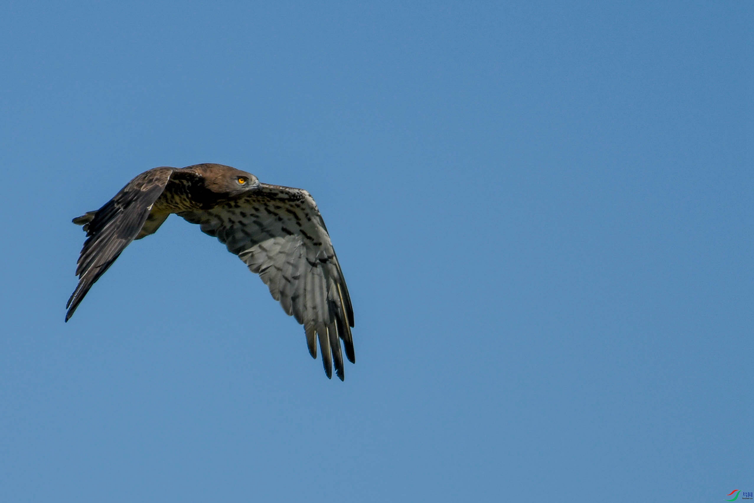 DSC_1493.jpg