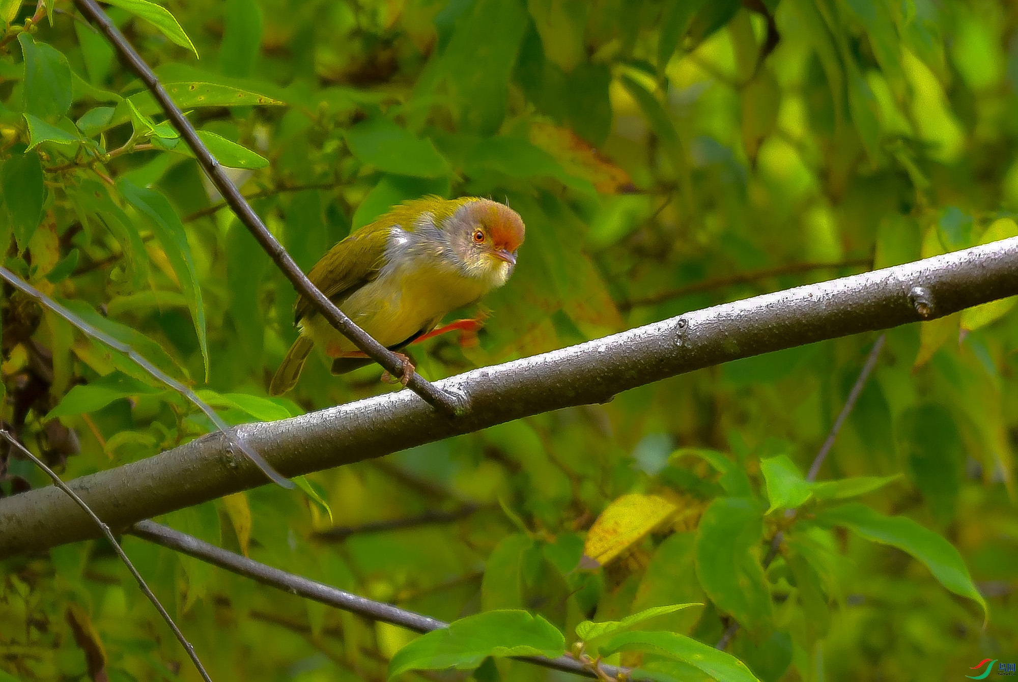 DSC_9088.JPG
