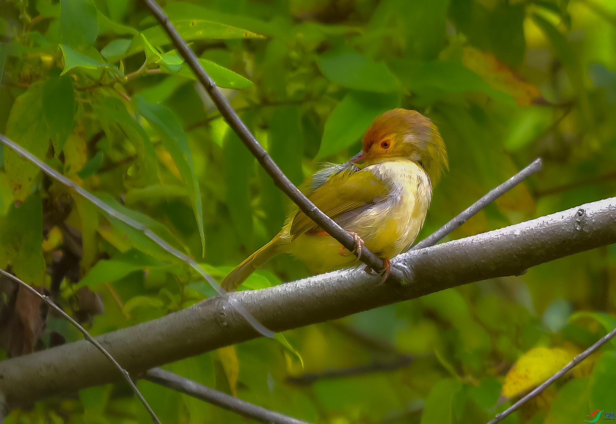 DSC_9106.JPG